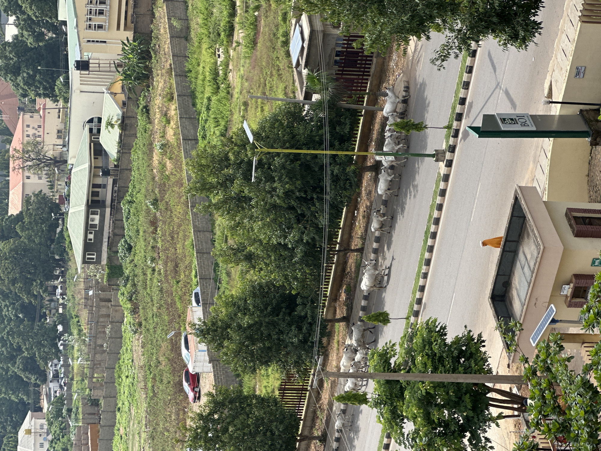 Street life, buildings, and open land in Shaba, Nigeria
