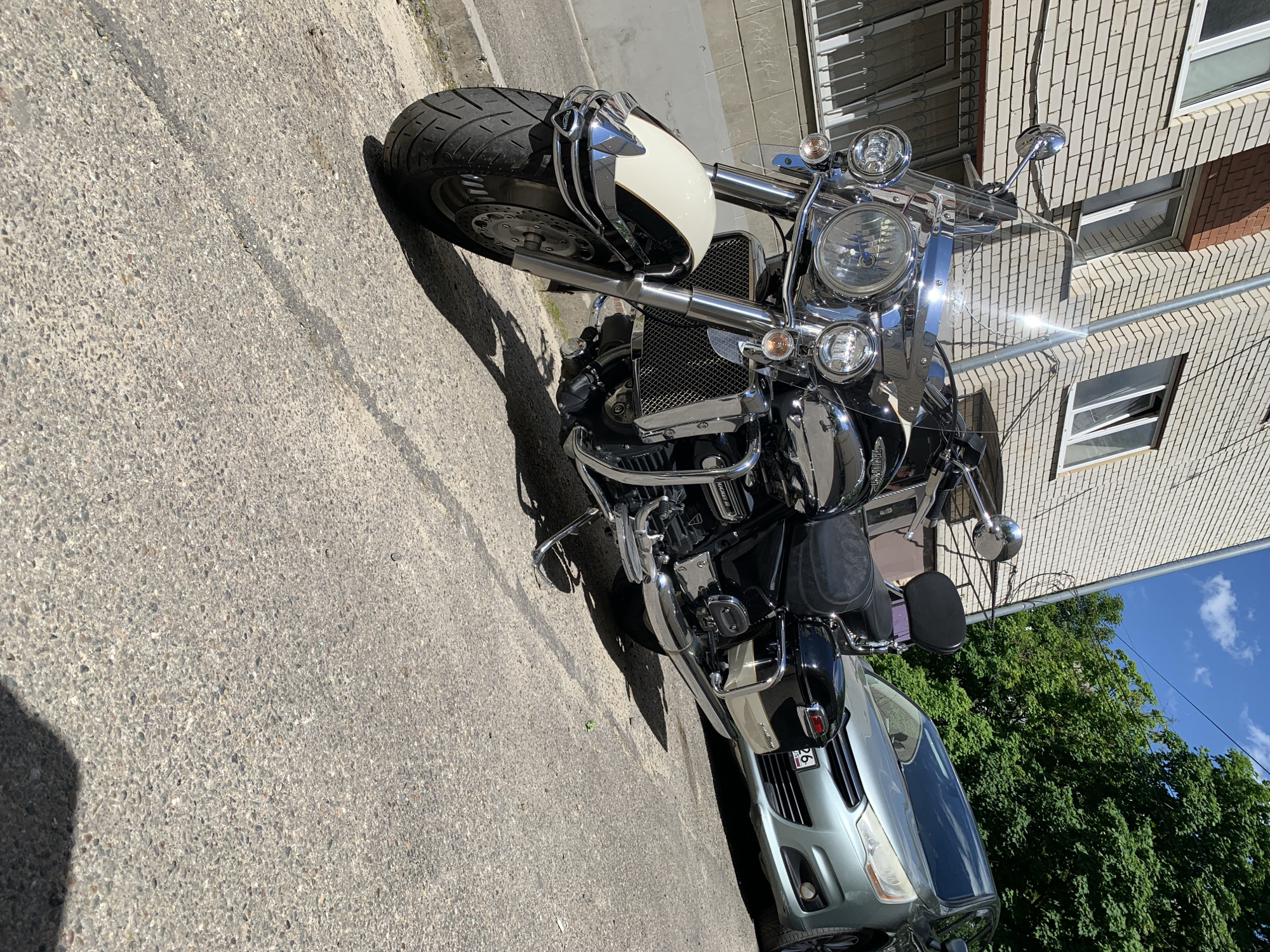 Domestic animals and motorcycle photographed across multiple unknown locations