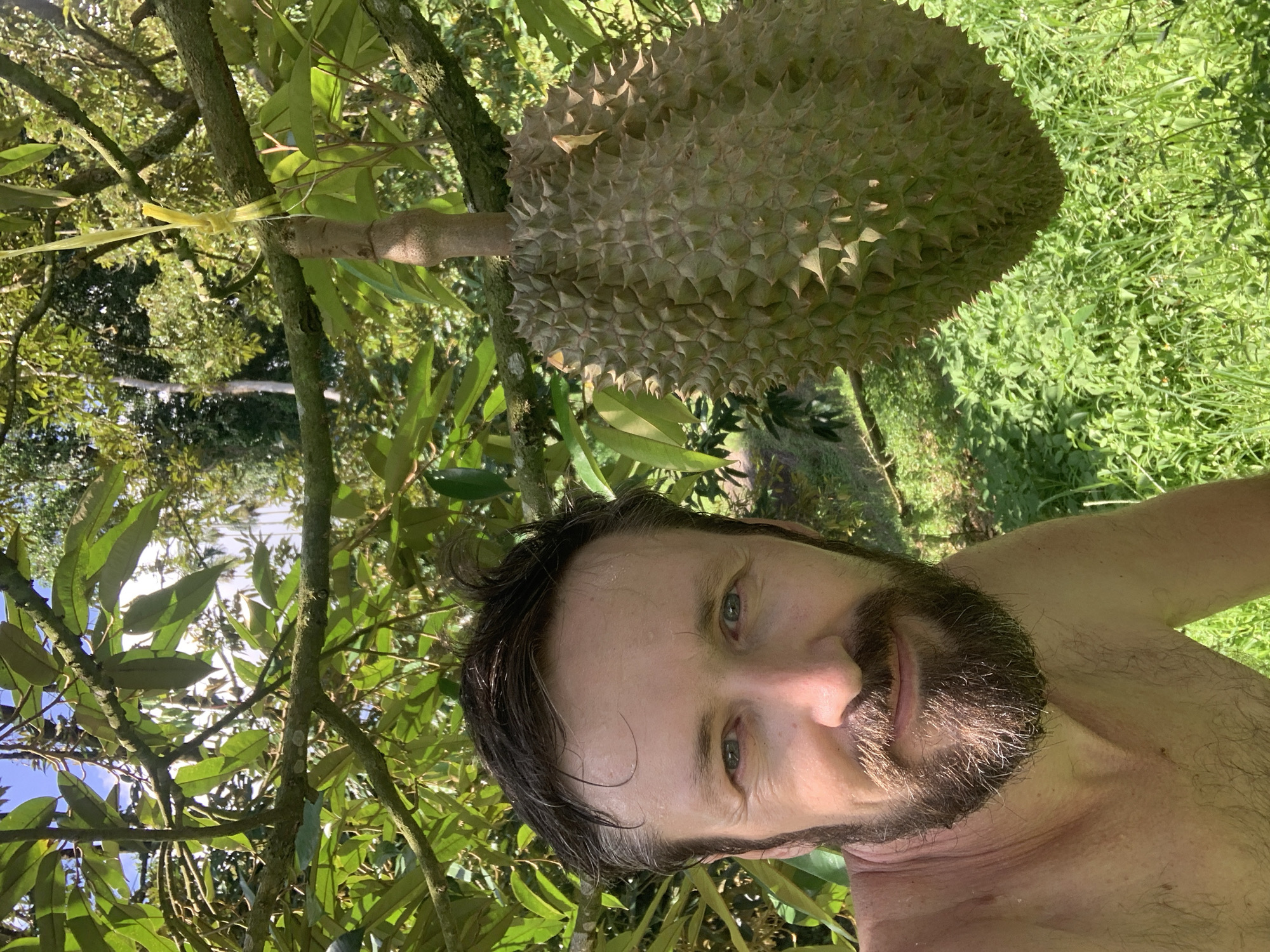 Exploring Ko Samui's tropical fruit sculptures and palms