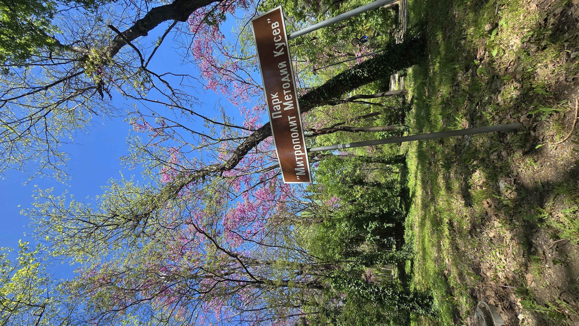 Spring morning scenes documented across Stara Zagora, Bulgaria