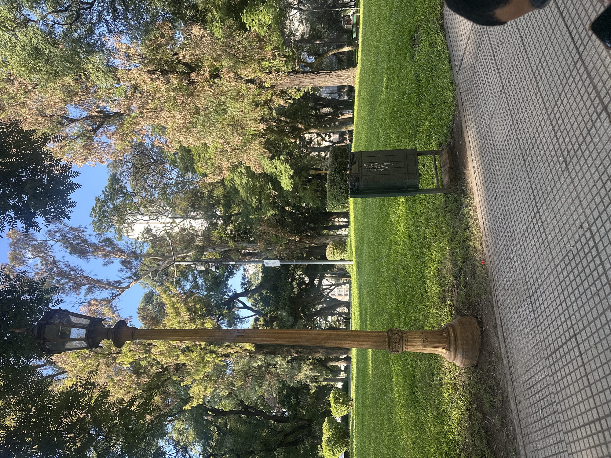 Man with phone, dog explore Buenos Aires park Saturday evening
