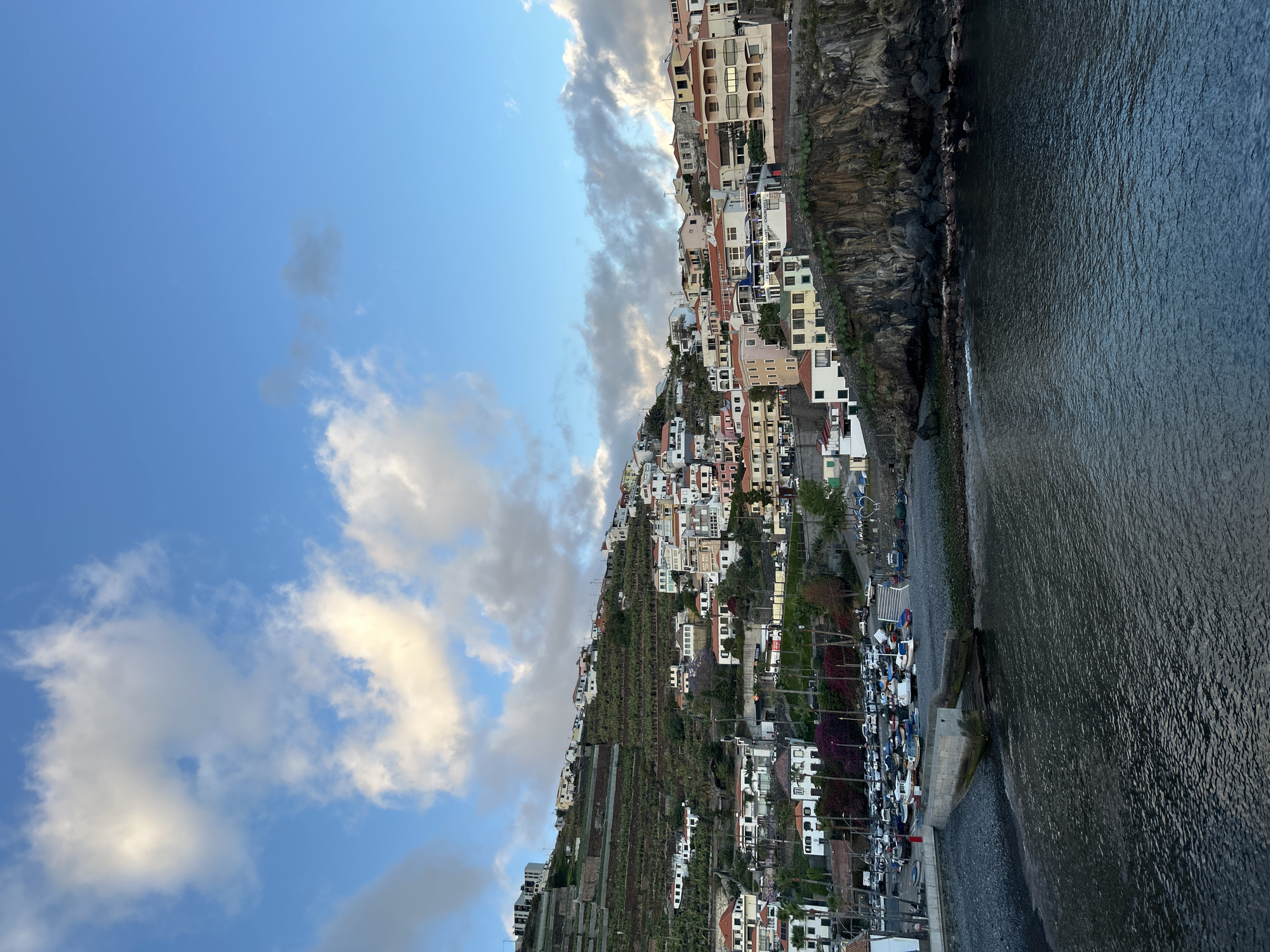 Evening documentation of flowers, coastline, and urban scenes in Câmara de Lobos