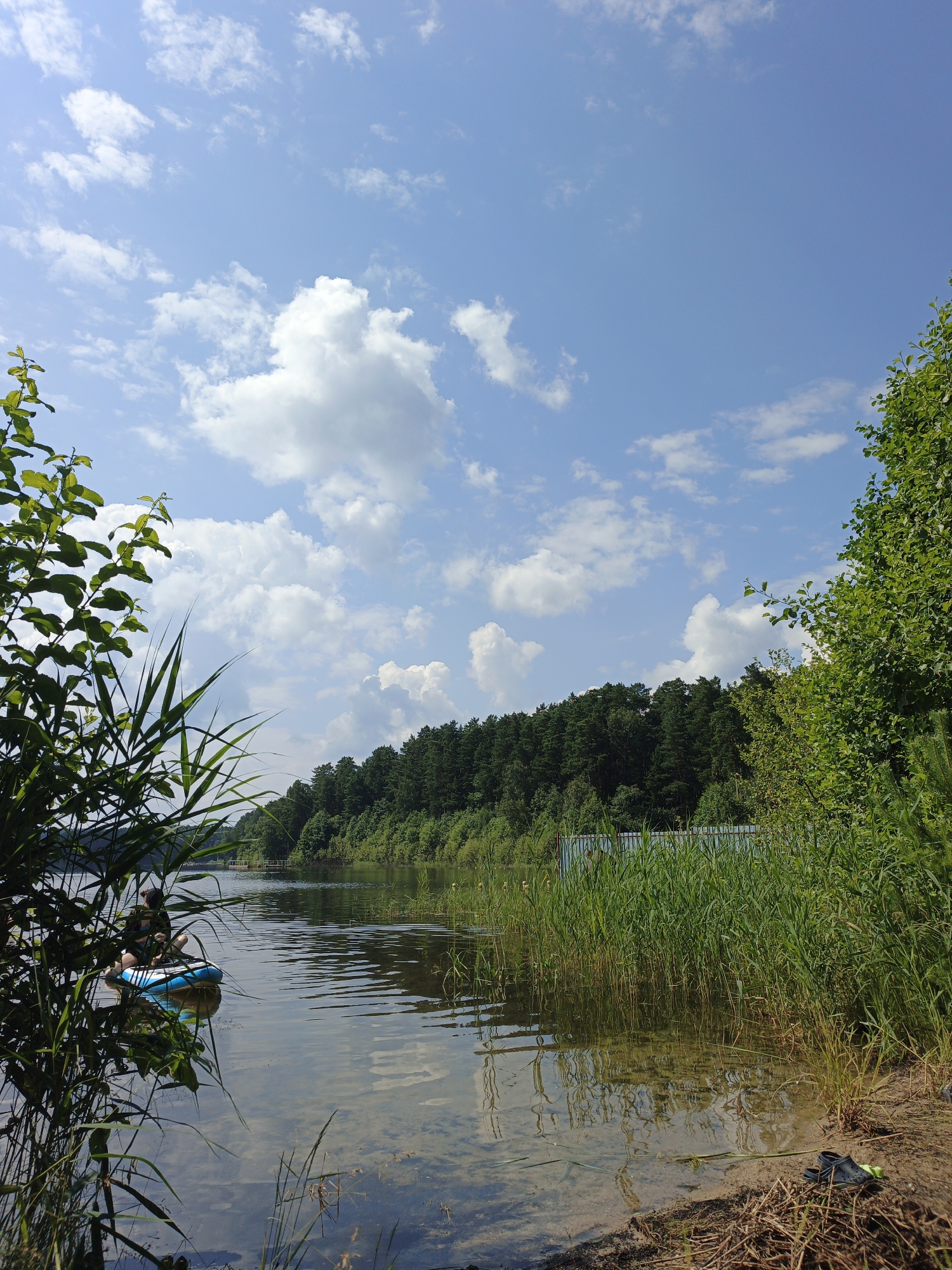 Lazy summer lake day in rural Russia, dogs and paddleboards included