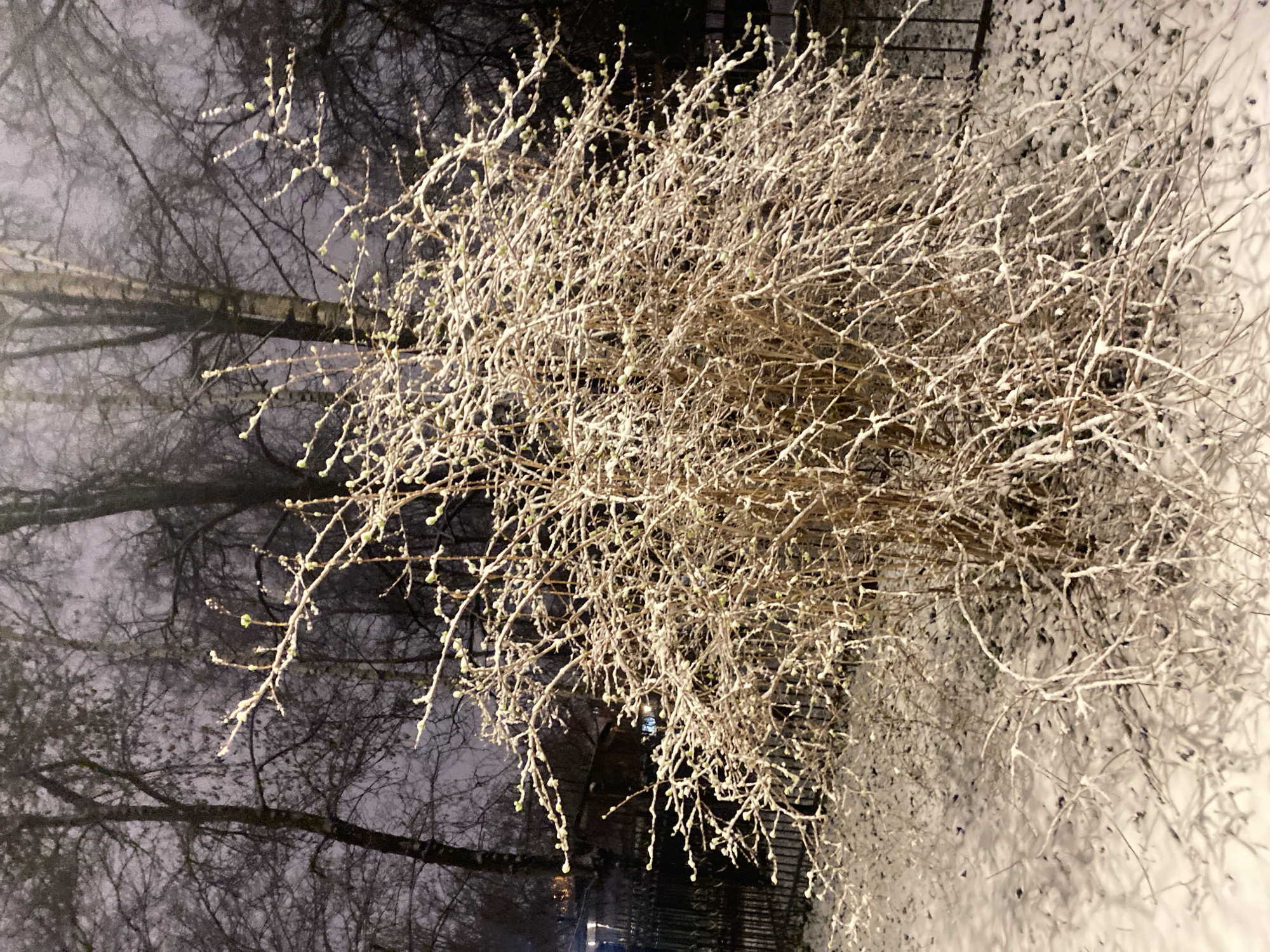 Snow blankets Moscow park during evening hours