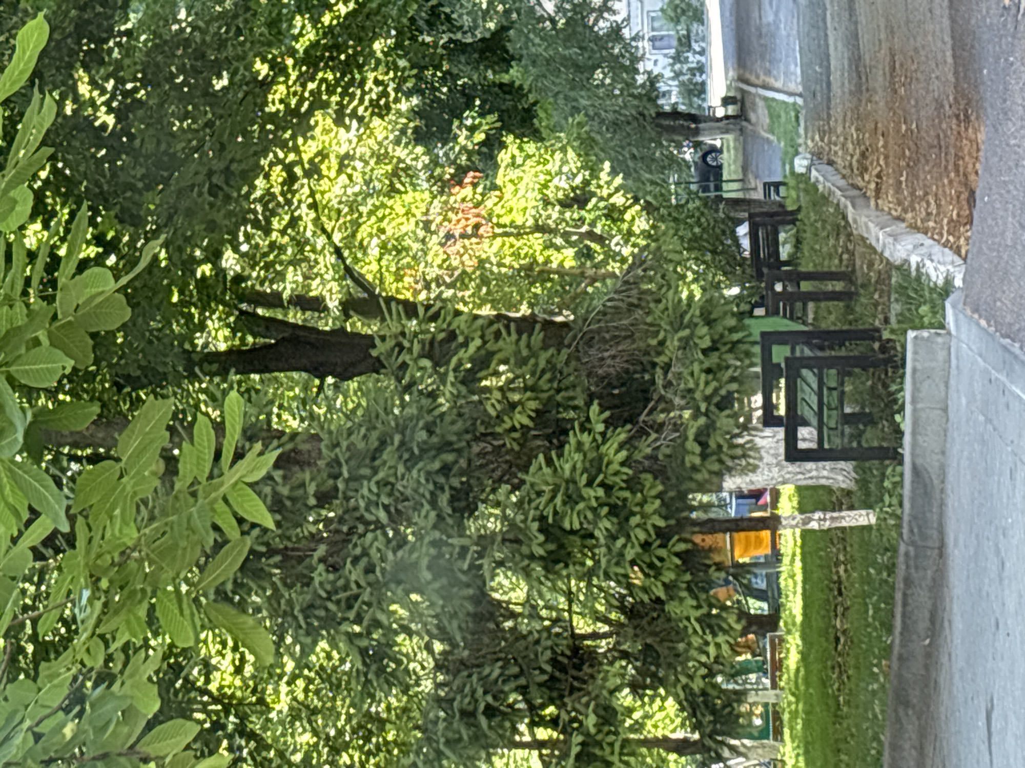 Morning drive through quiet Chișinău streets and parks