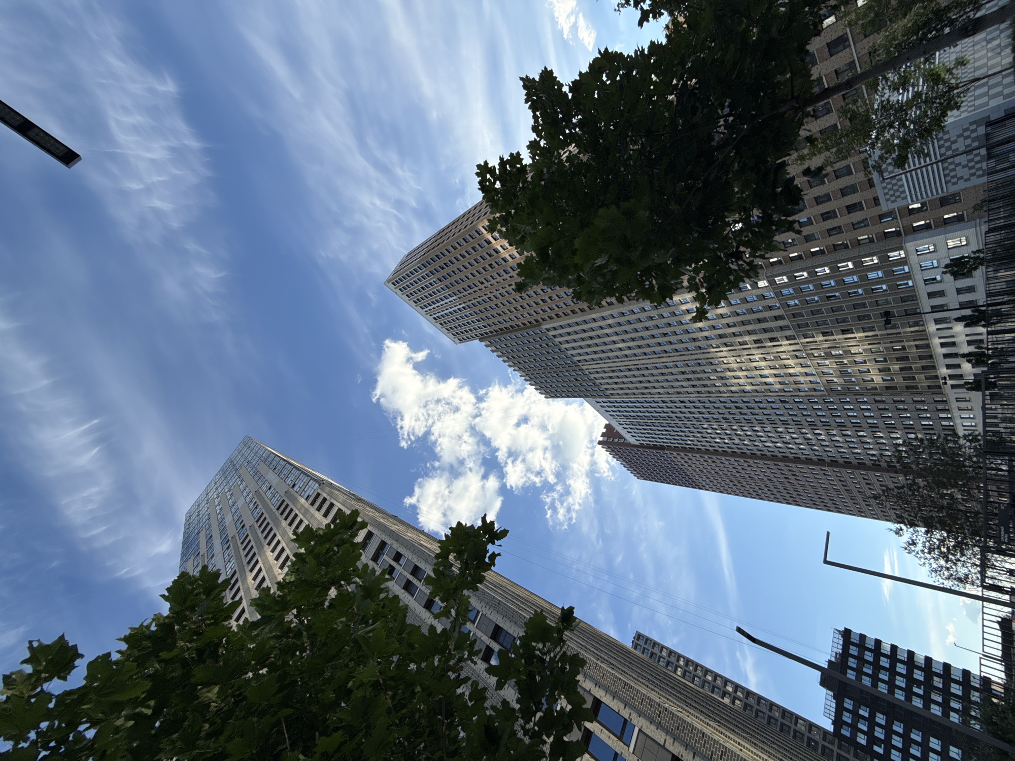Sunny afternoon in a Moscow park, high-rises in view