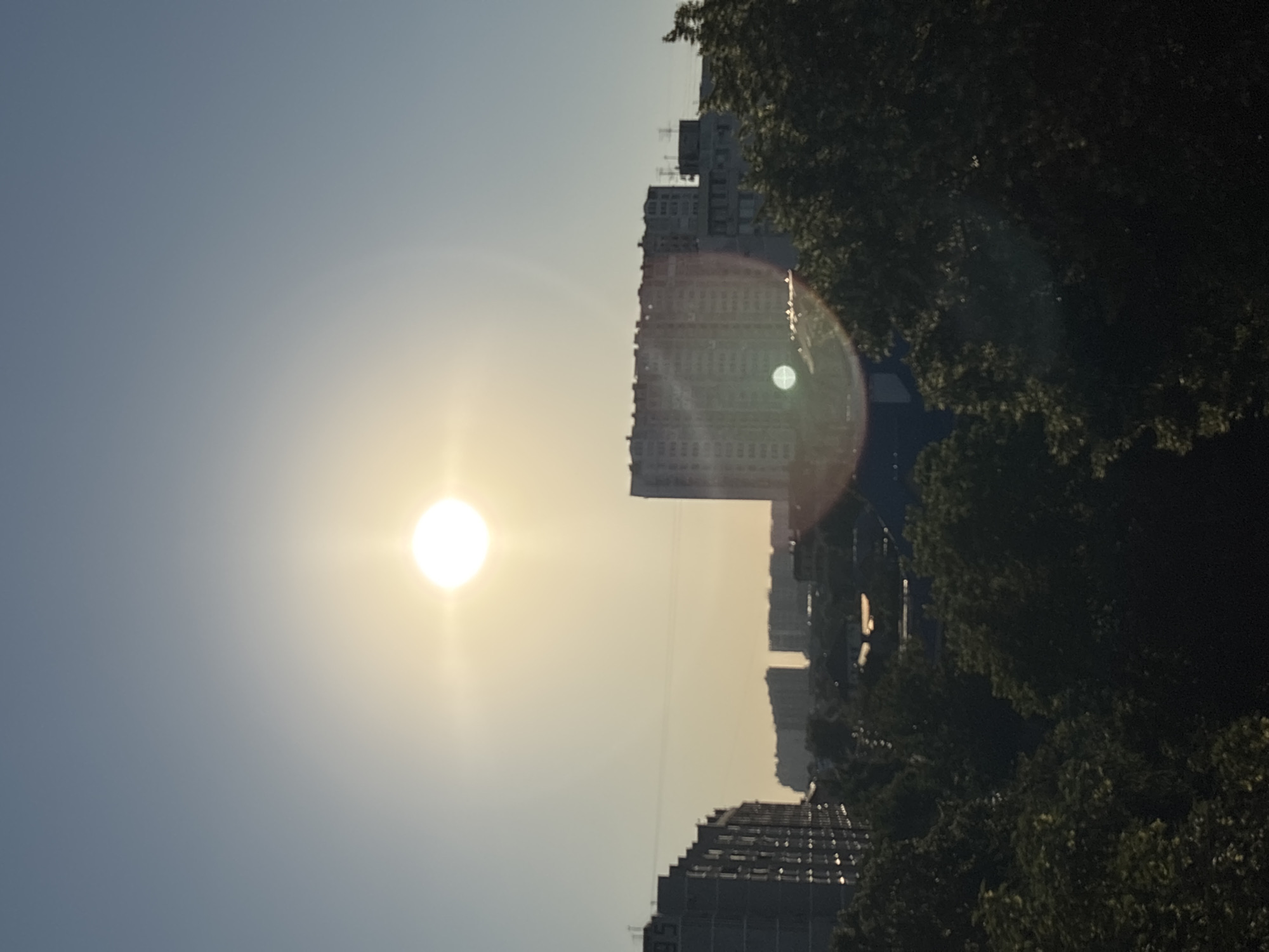 Sunny afternoon across Krasnodar's streets and parks