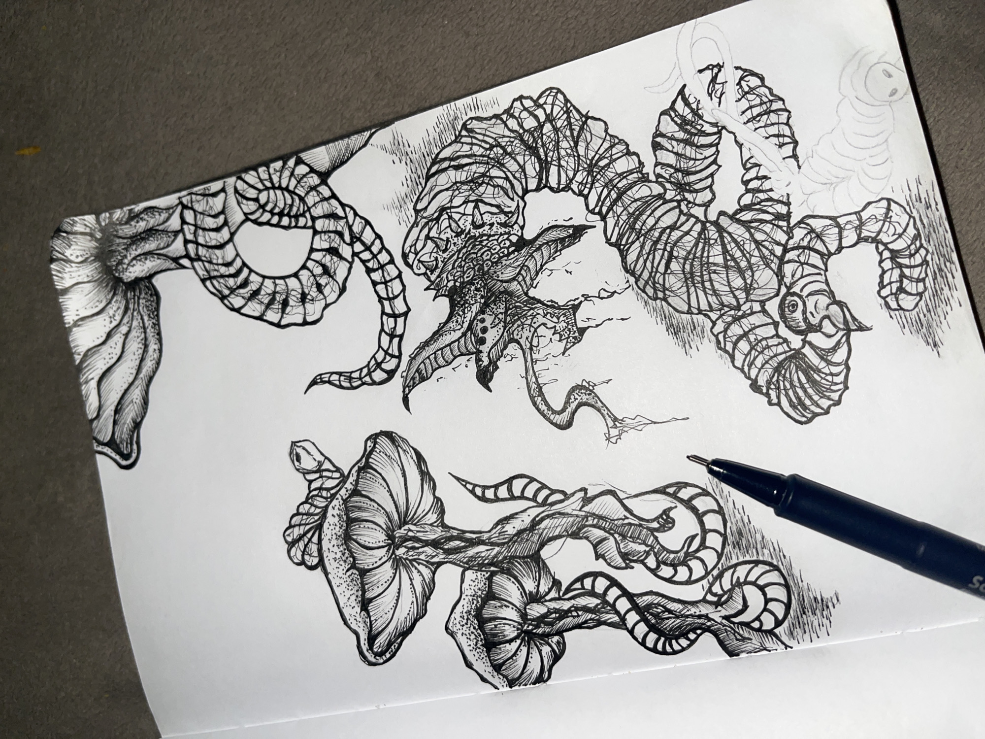 Artist's fantastical creature sketches documented in Sofia sketchbook