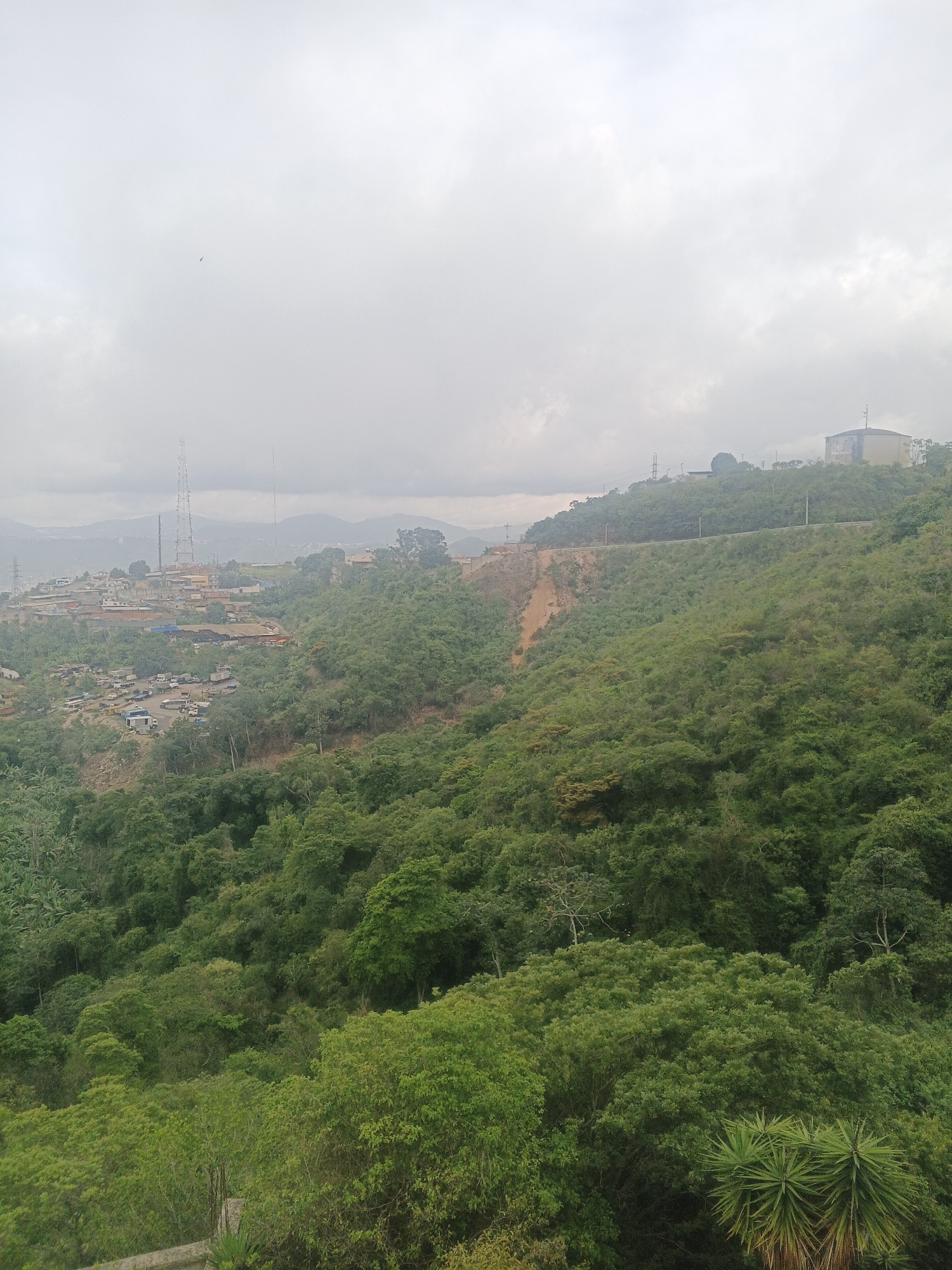 Foggy hillside views and a praying mantis, Caracas outskirts