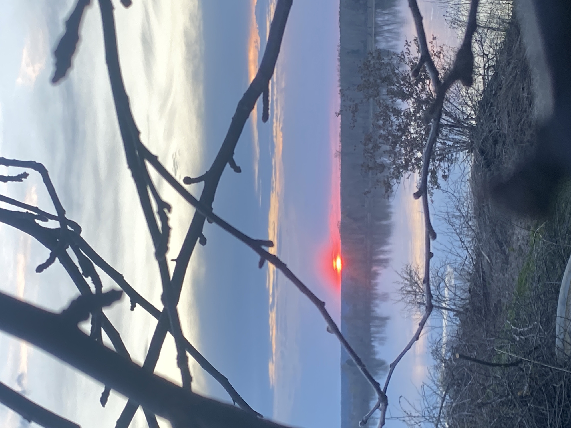 Sunset captured through bare branches near Ольховка, Russia