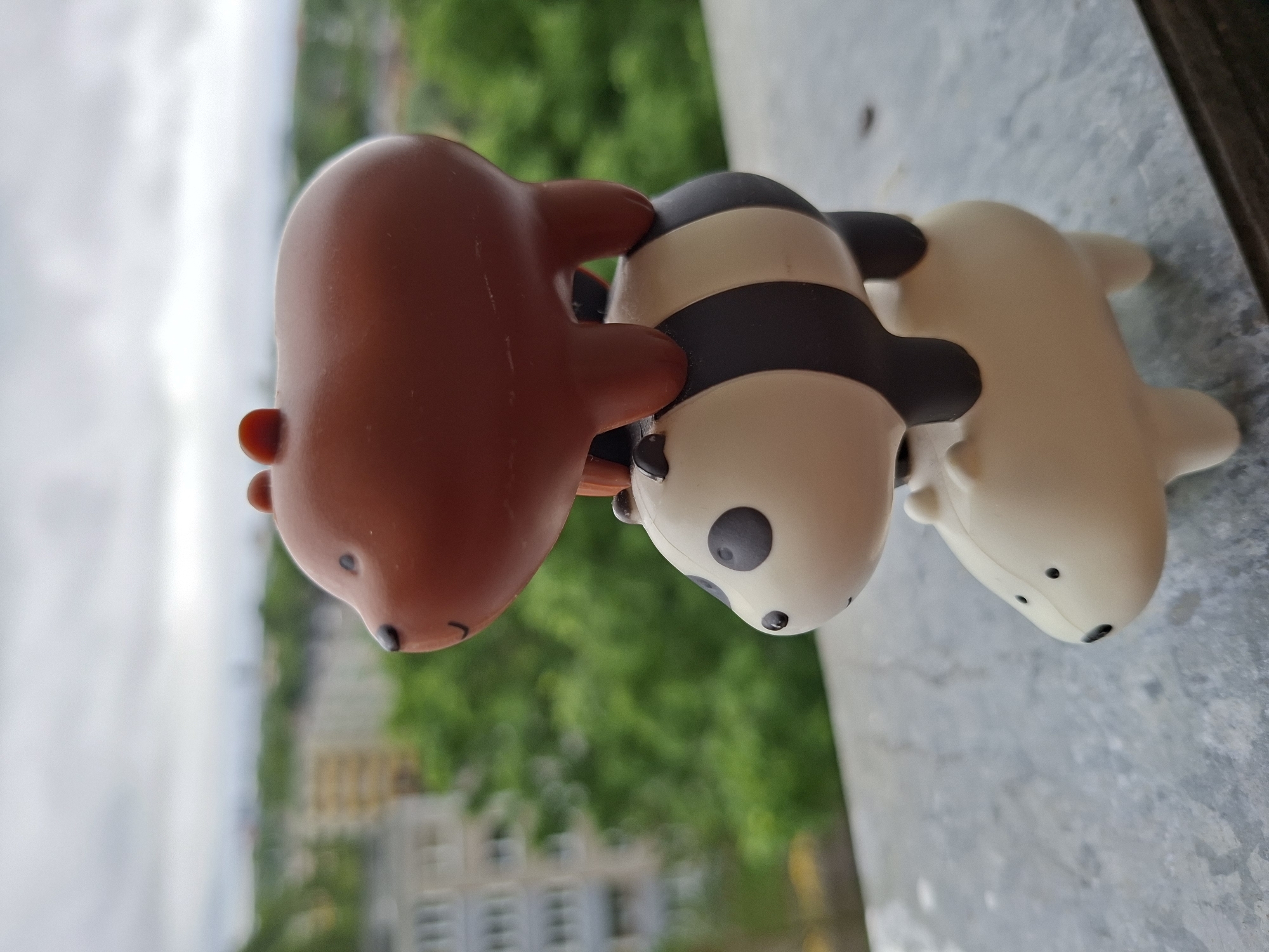 Tallinn resident documents decorative objects and city views