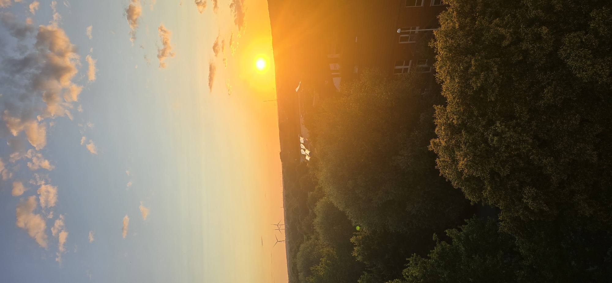 Kiel sunset views and a houseplant on a summer evening