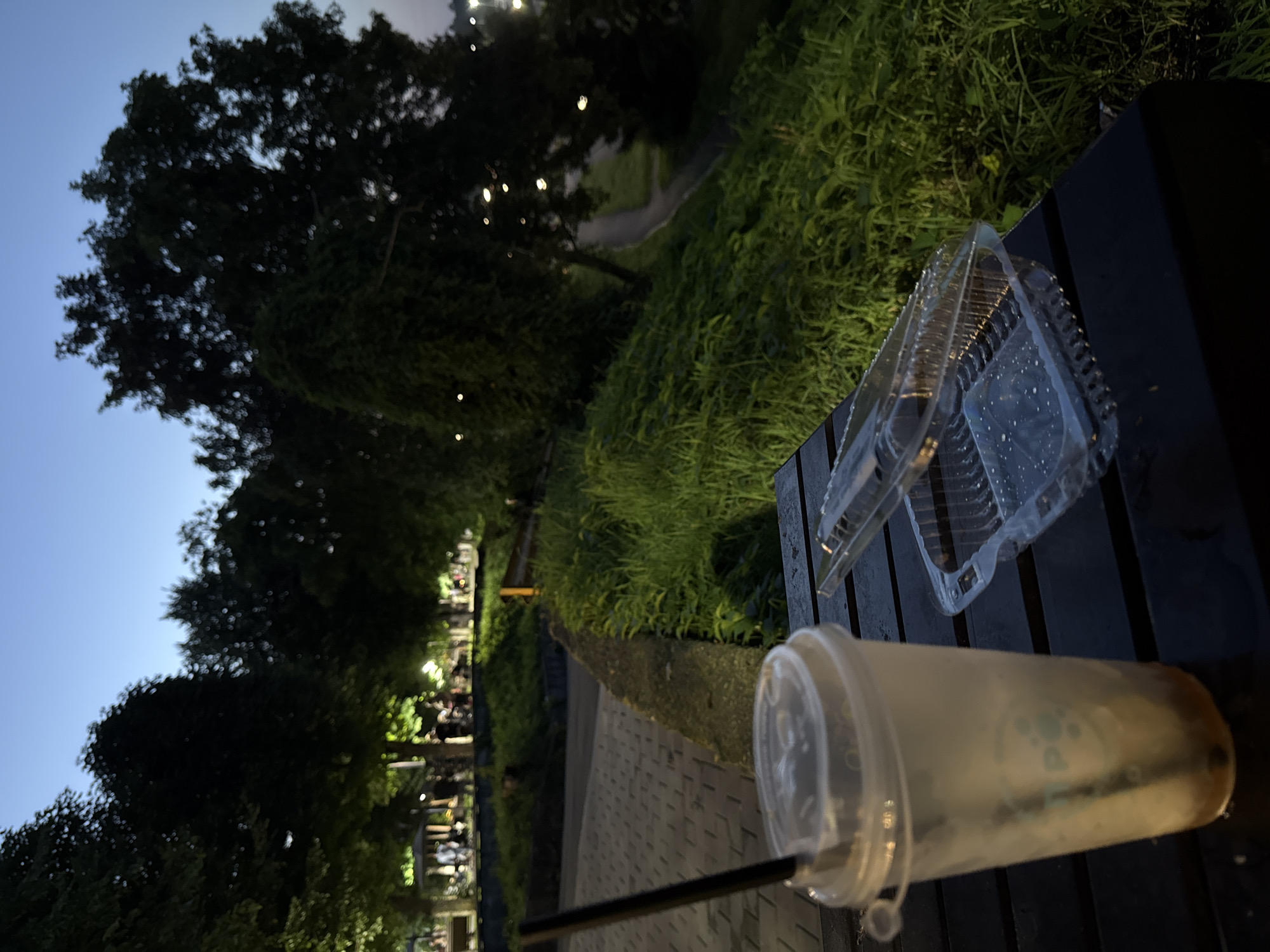Evening wind-down at a Vladikavkaz park