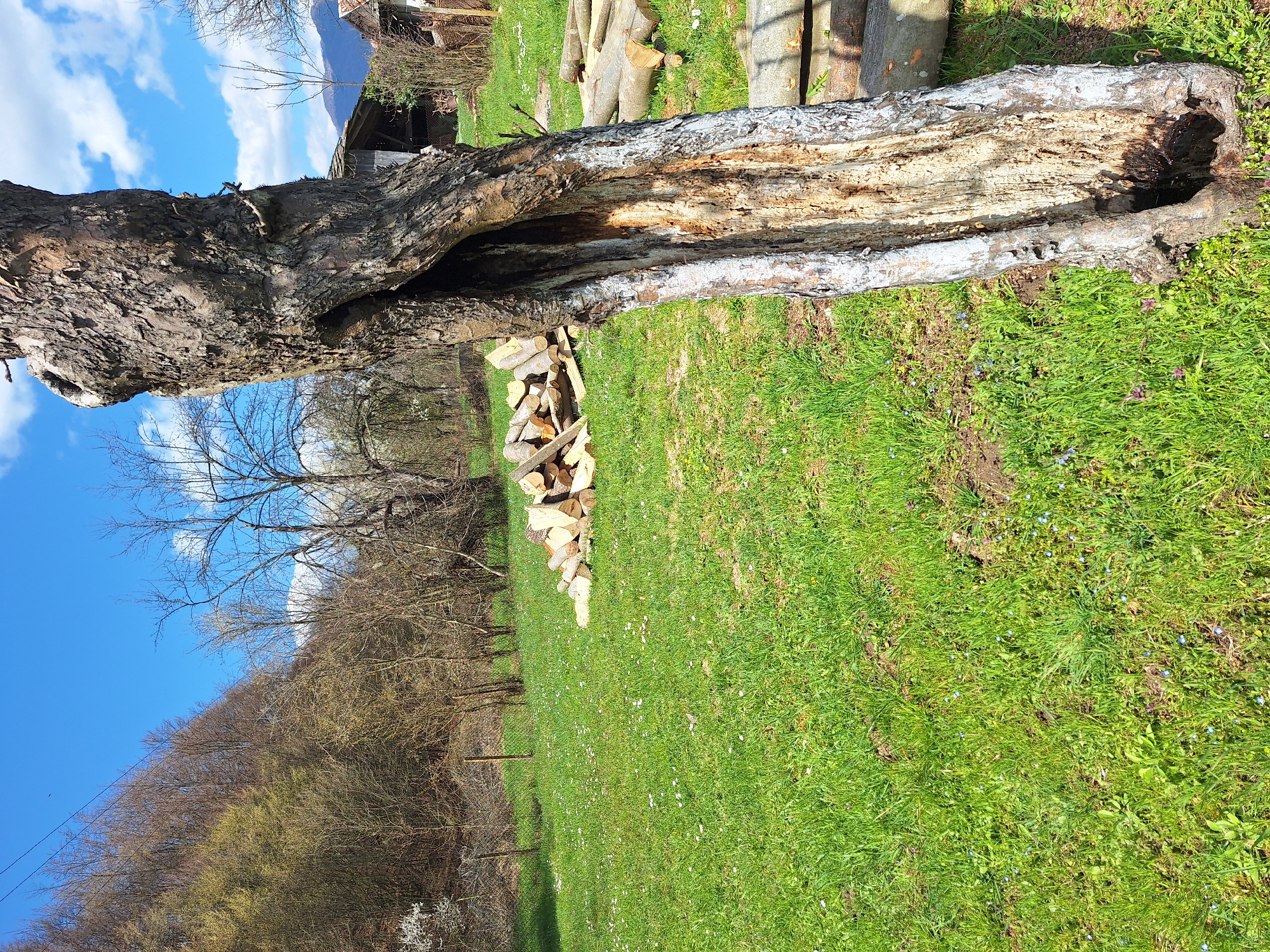 Spring documentation captures Apriltsi Bulgaria's seasonal transition landscapes