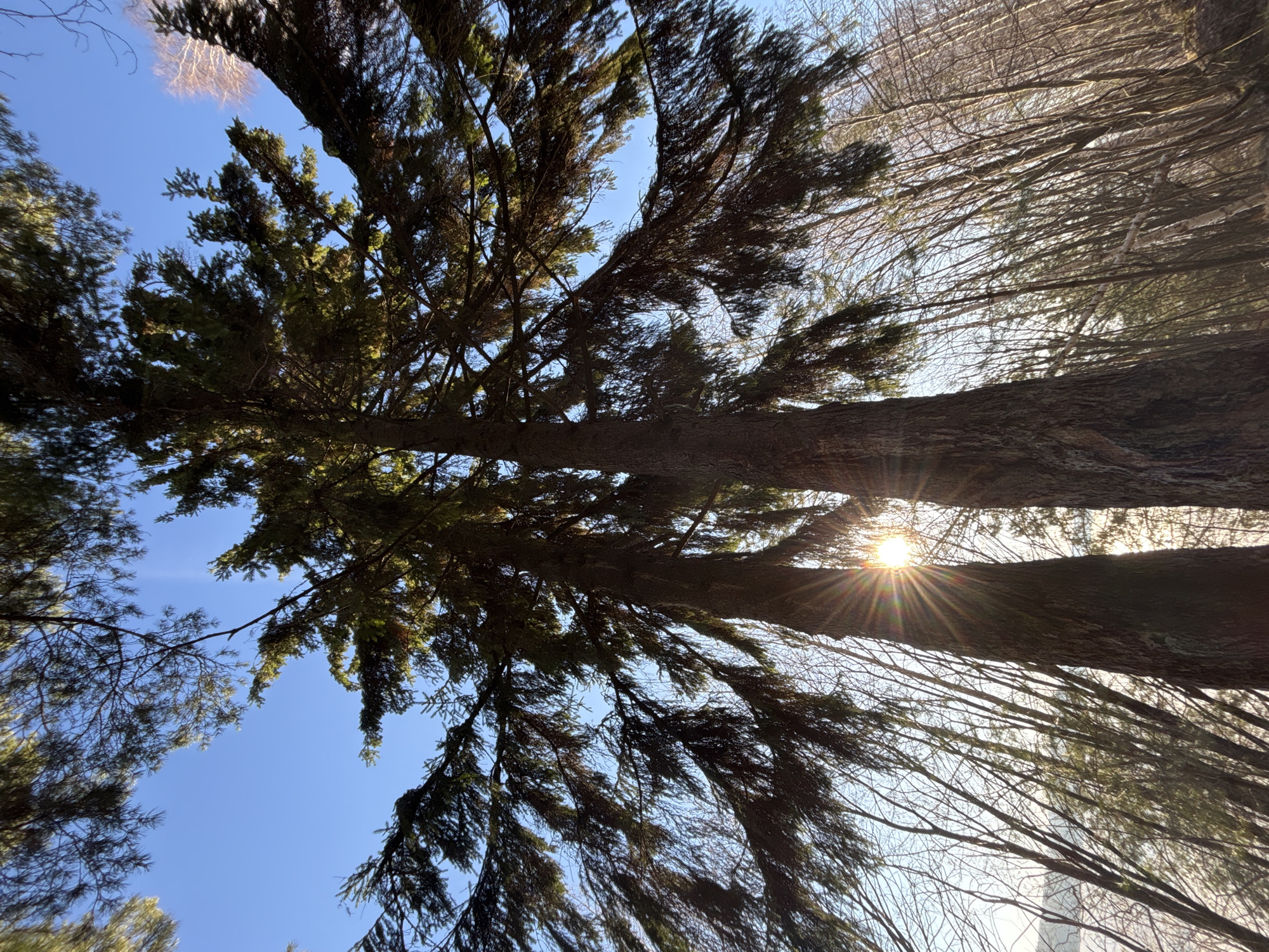 Early morning documentation session captures Chaikovsky, Russia landscapes and portraits