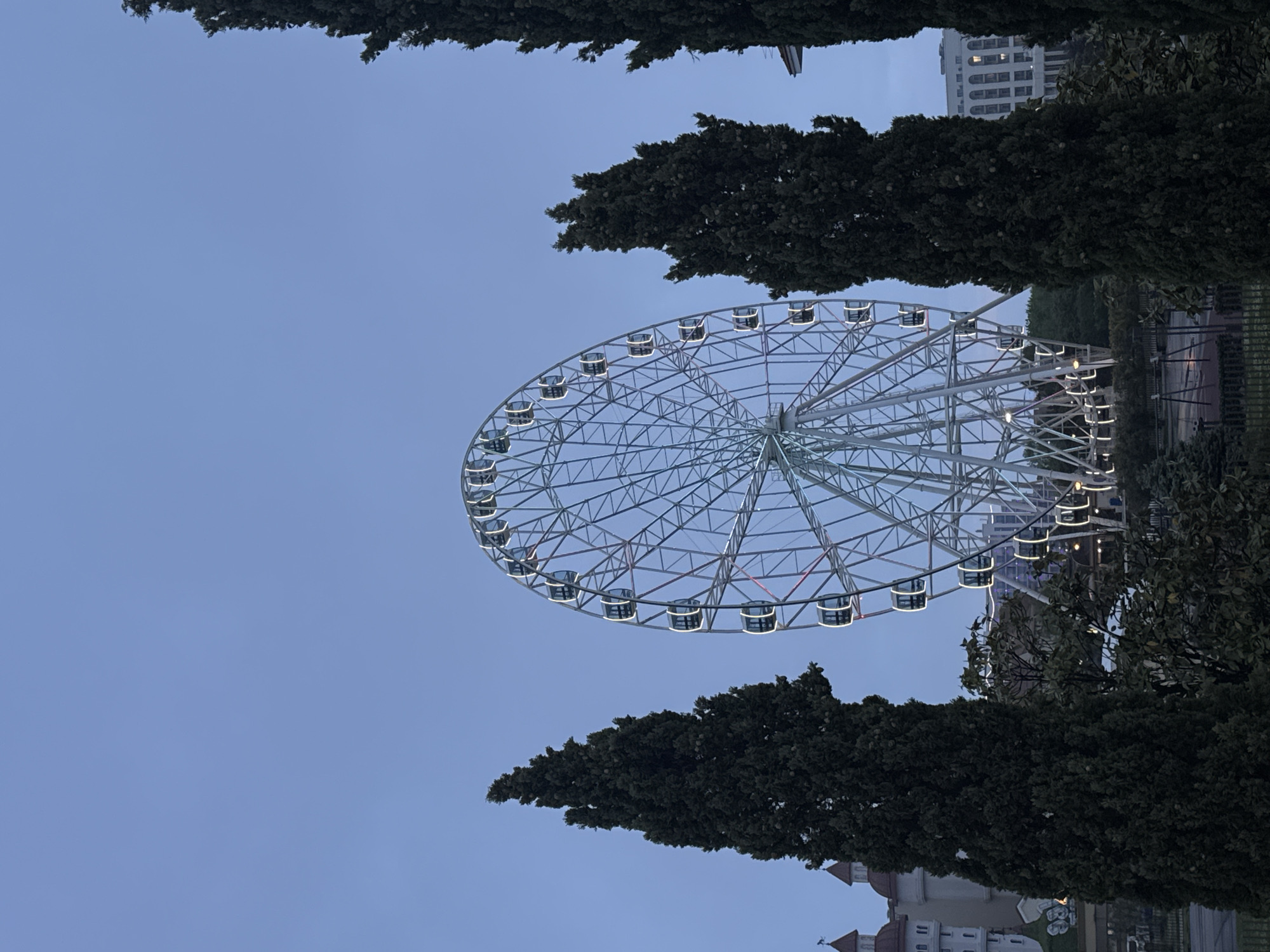 Evening visit to Sochi Park attractions in Sirius, Russia