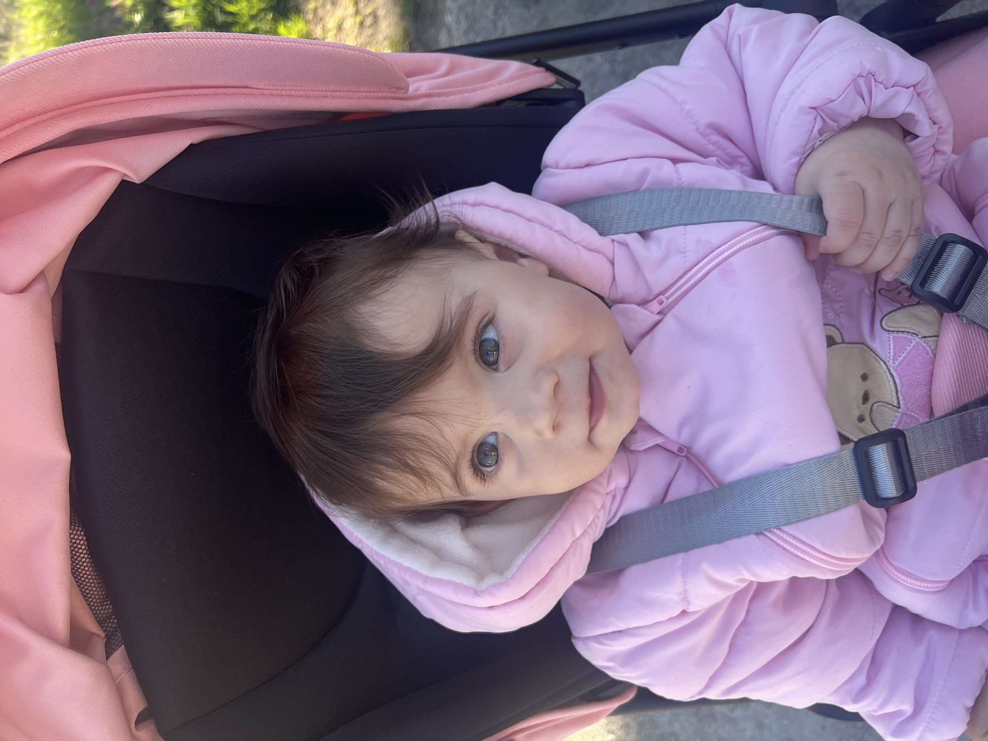 Baby in pink jacket observed in stroller in Elena