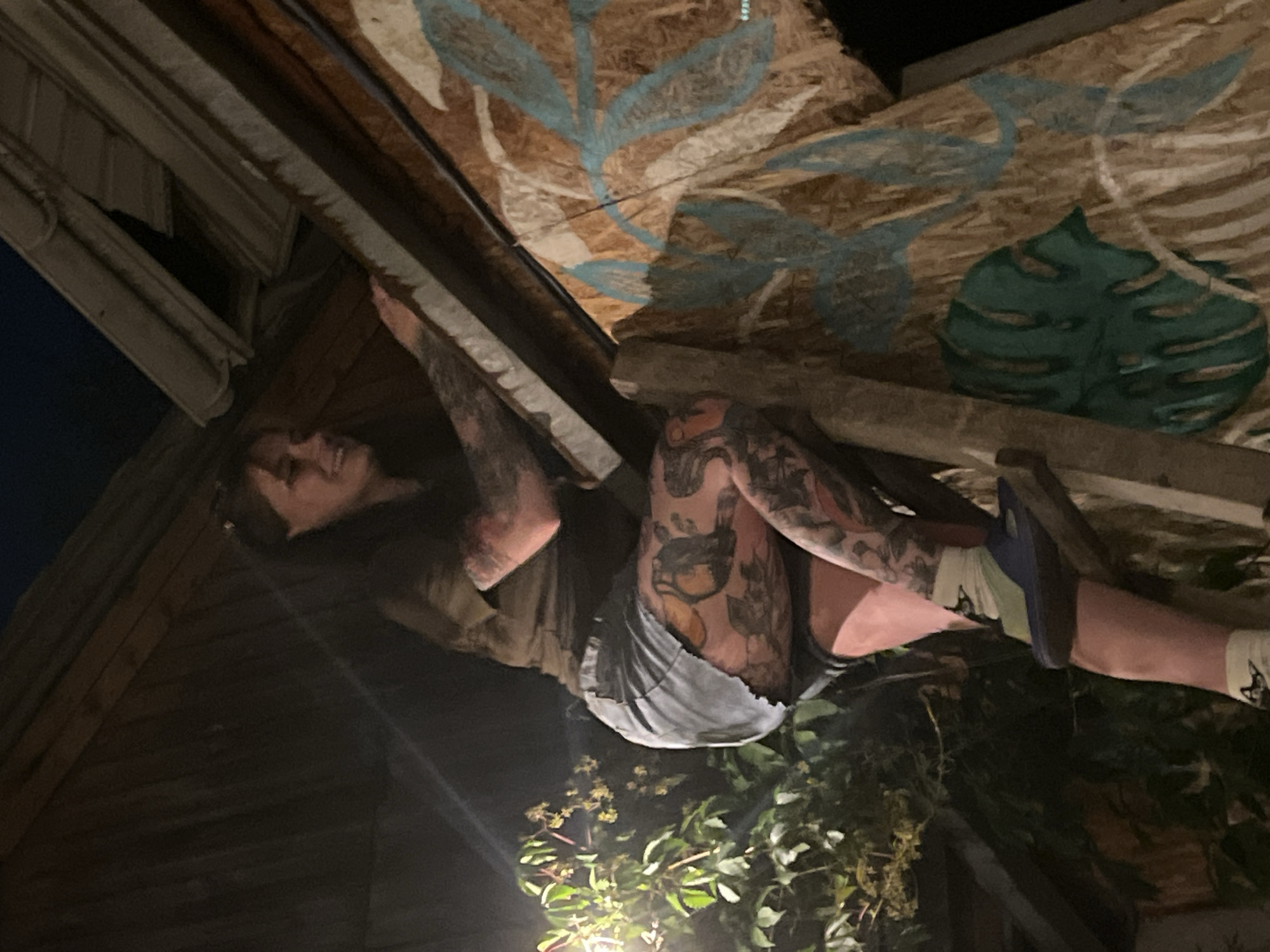 Nighttime backyard gathering with ladder climbing in Almaty