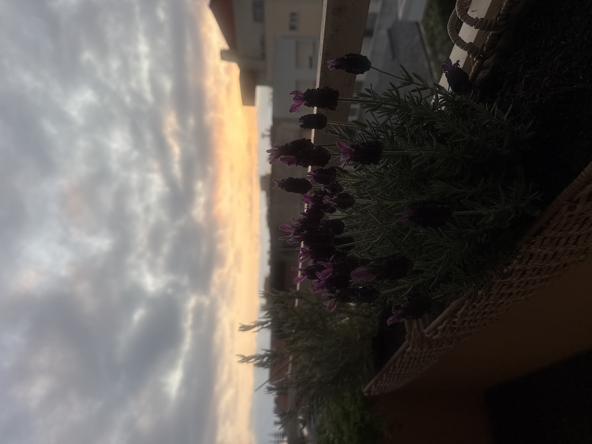 Sunset clouds over Vila Nova de Gaia rooftops, balcony view