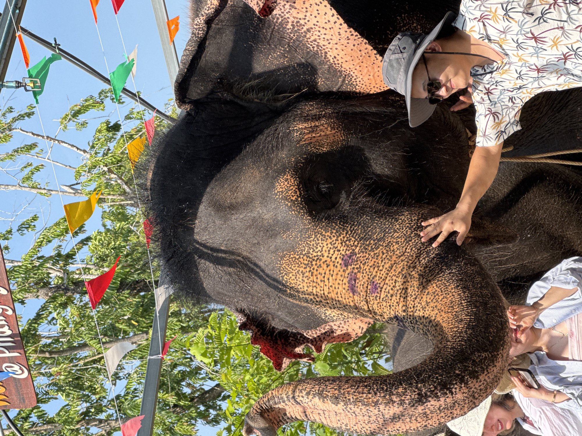 Elephant encounters documented across two Thai locations Saturday morning