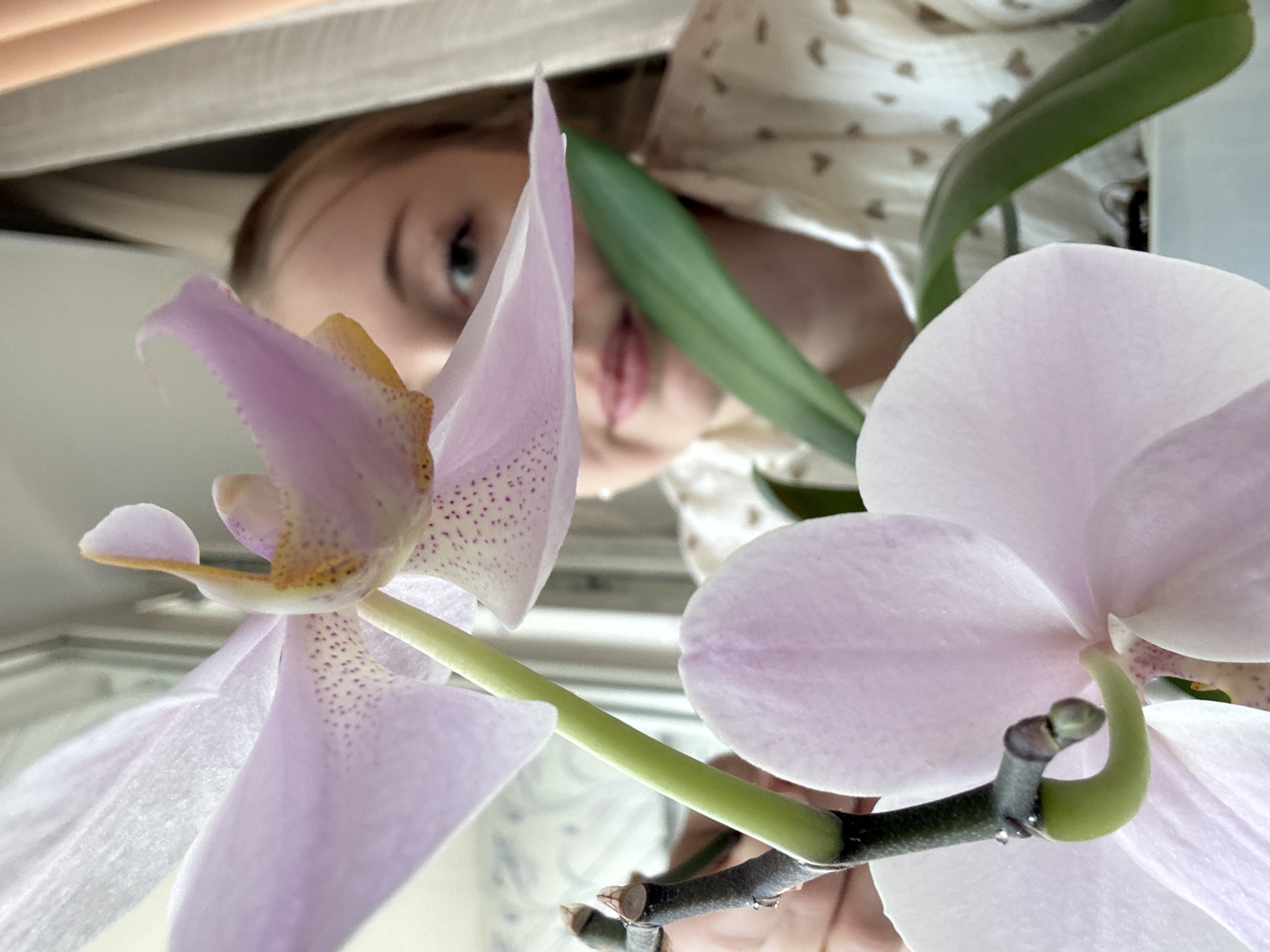 Woman documents playful morning moments with flowers, toys, coffee