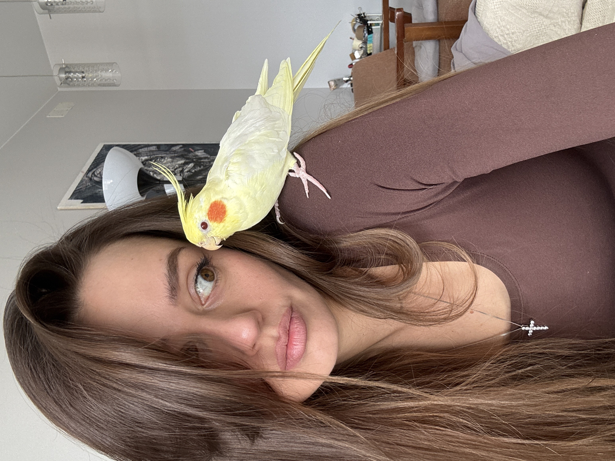 Woman bonds with pet cockatiel in Krasnoyarsk indoor session