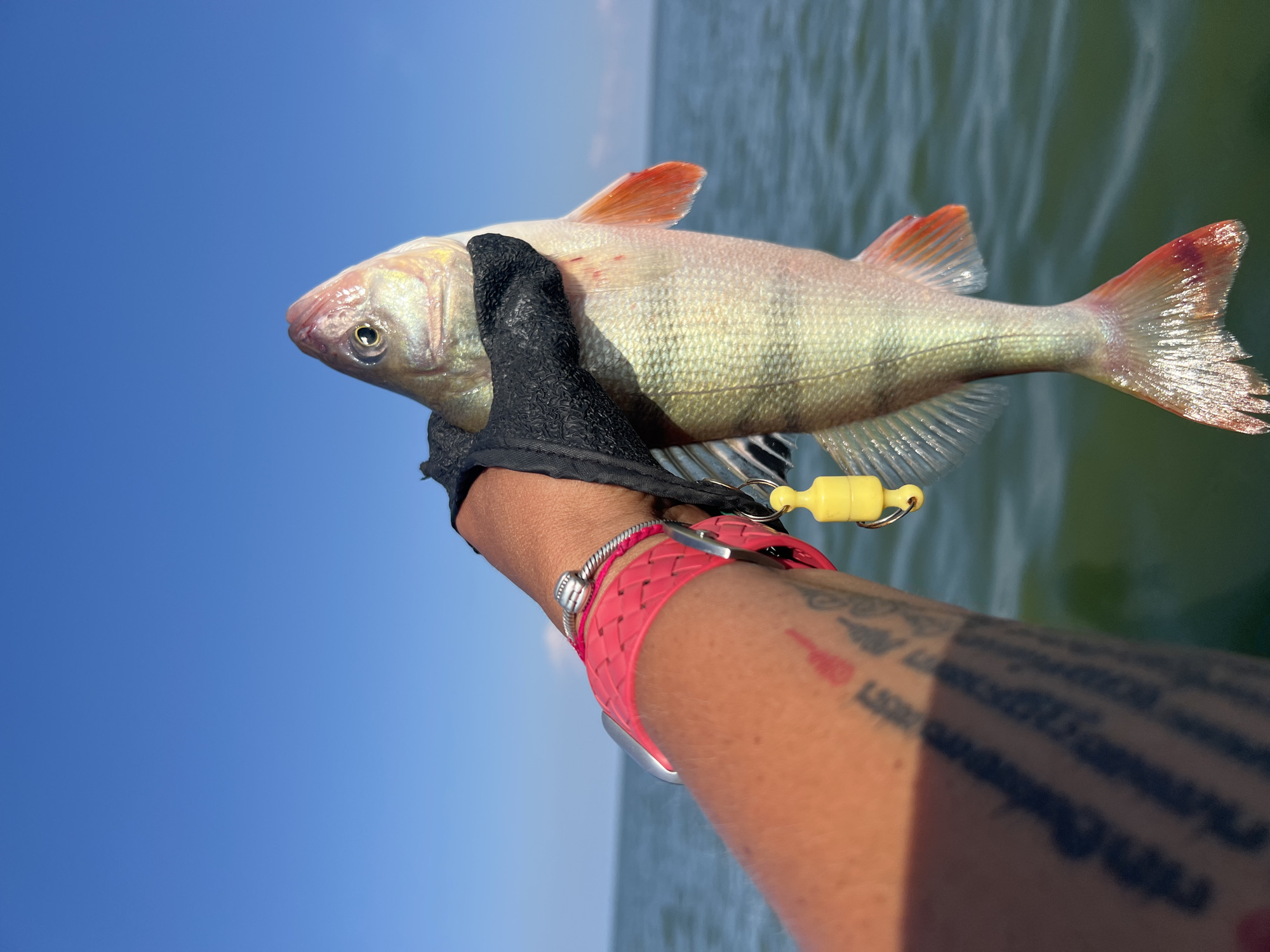 Fresh catch held up over calm Borovoe waters