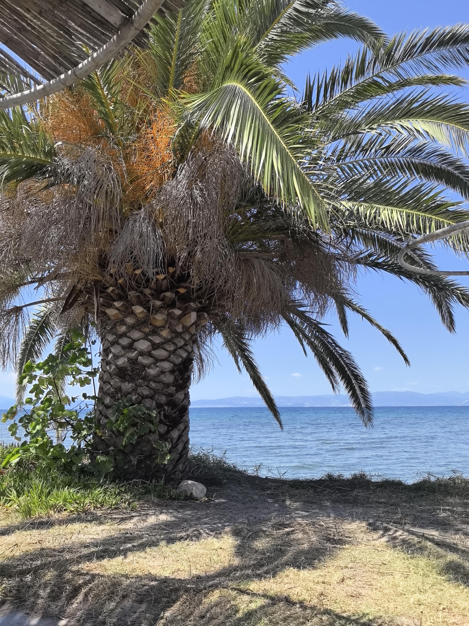 Skala Rachoniou, Greece