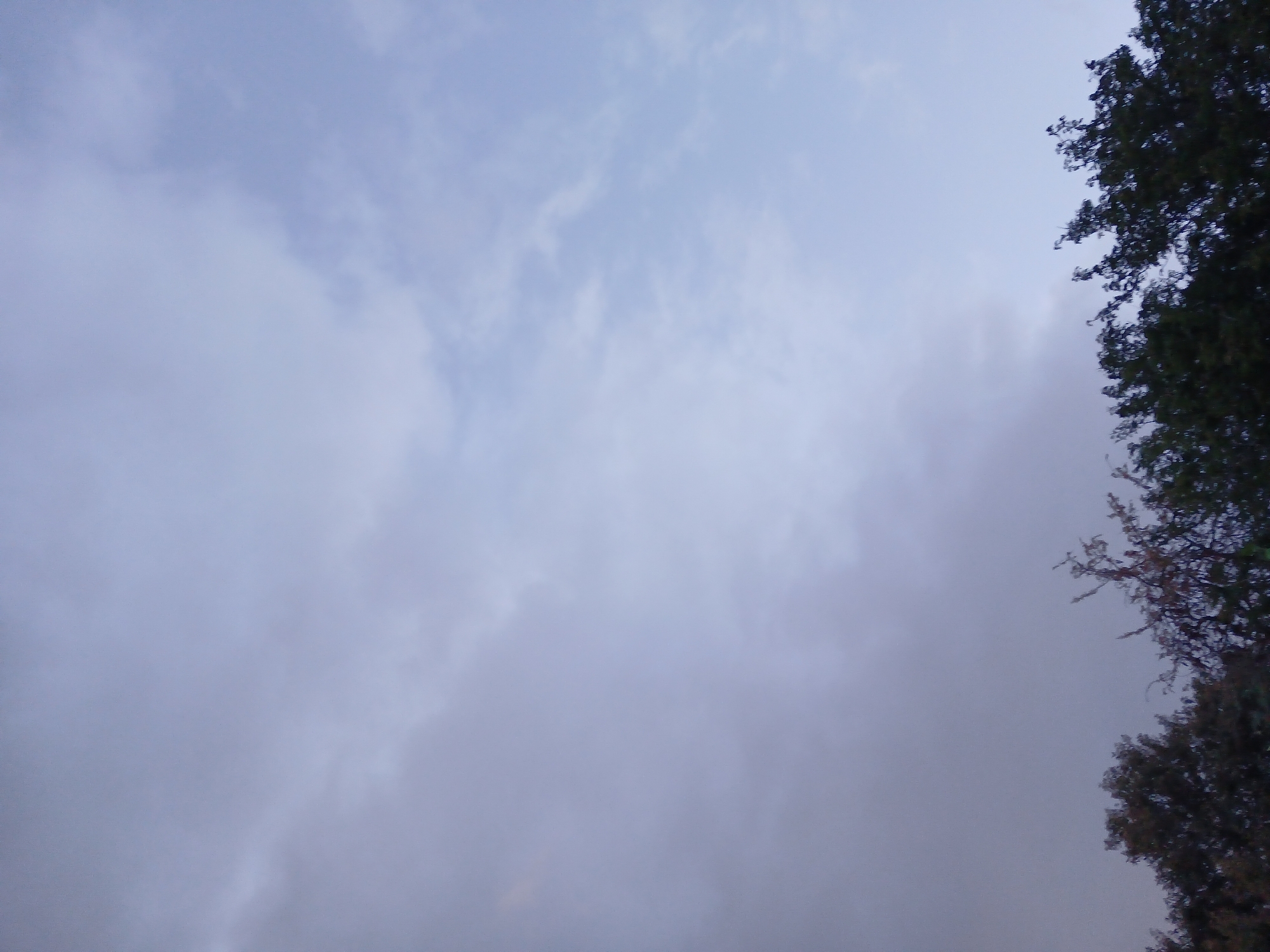 Twilight sky with dramatic clouds observed in Altagracia, Venezuela