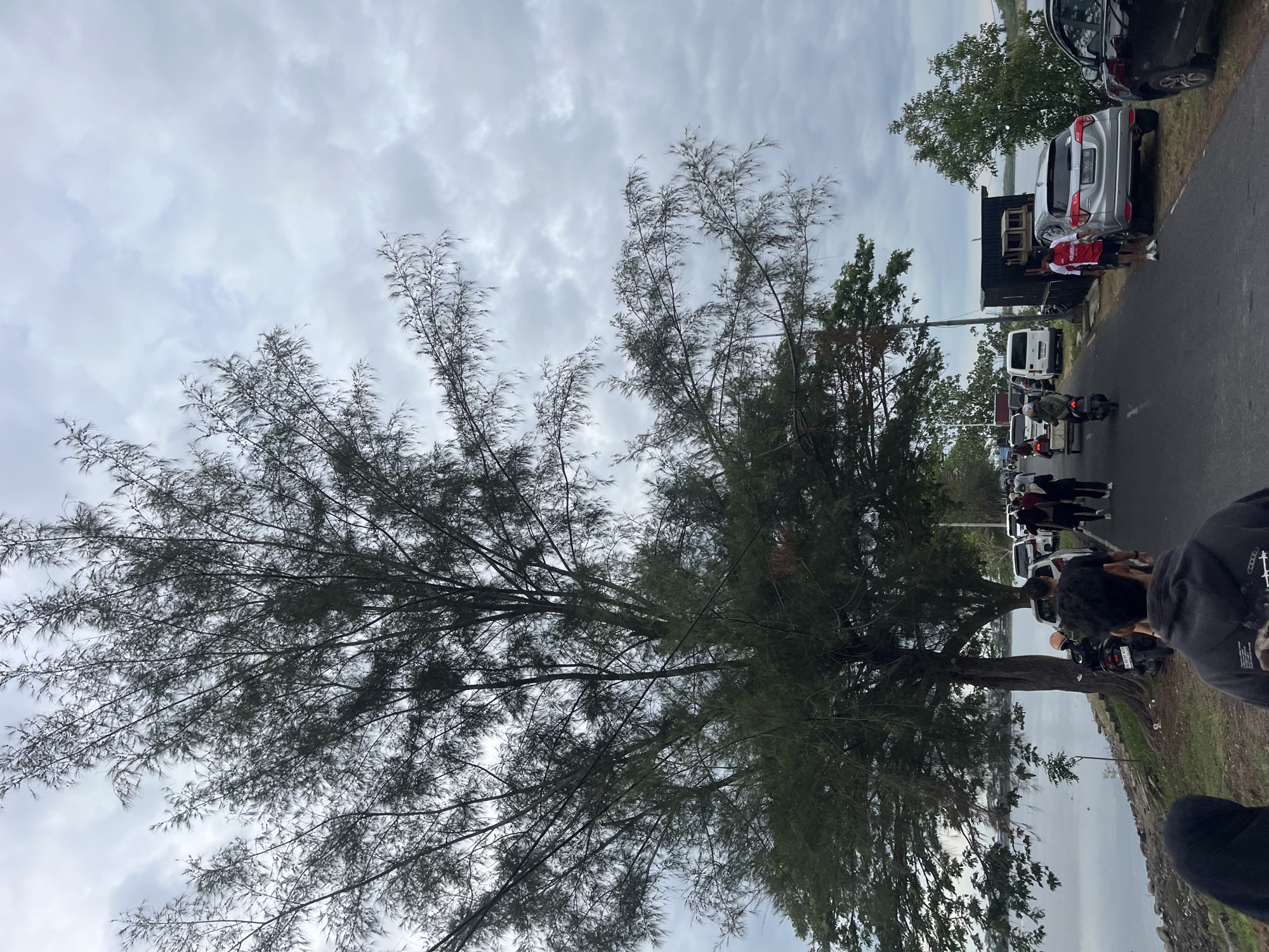 Overcast day documented across Lhokseumawe streets and polluted waterfront