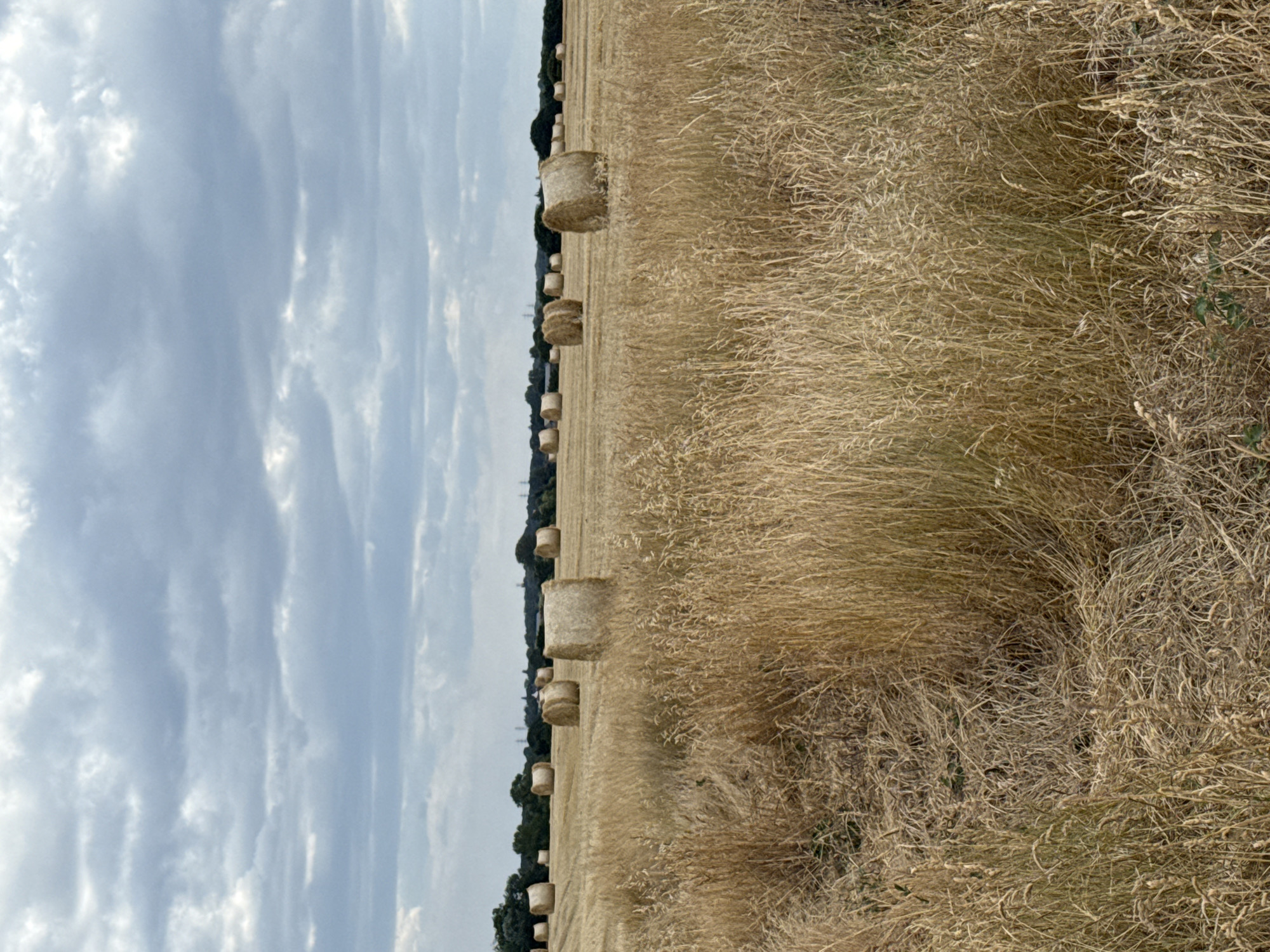 Hay bales dot a harvested Norfolk field on a cloudy summer day.