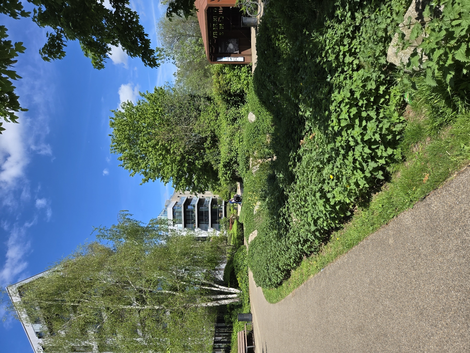 London resident documents local green space and modern housing
