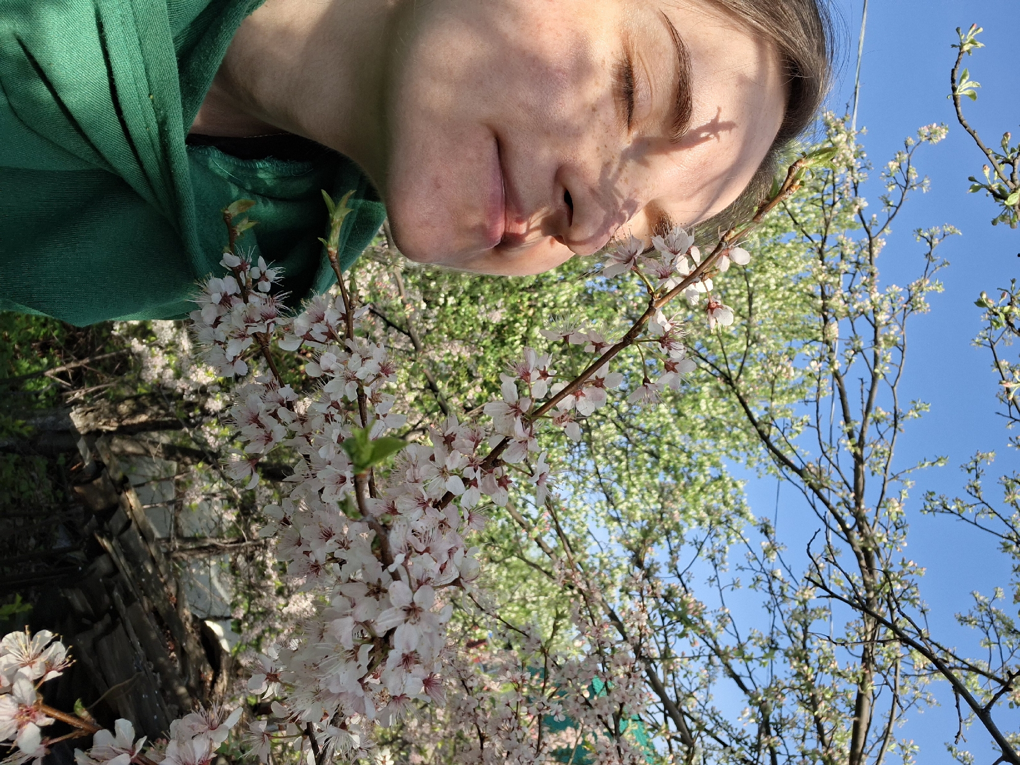 Person enjoys quiet garden moment among flowering trees