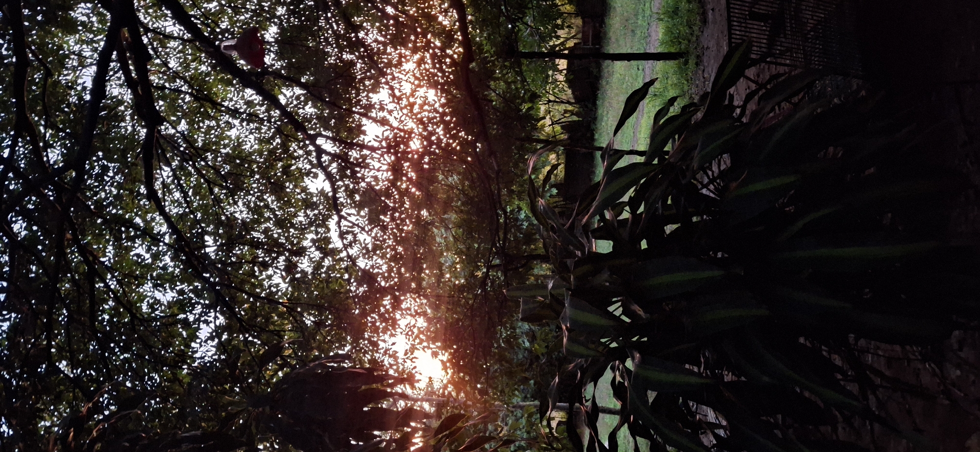 Sunset over rural Vallecito, Venezuela, caught from multiple angles