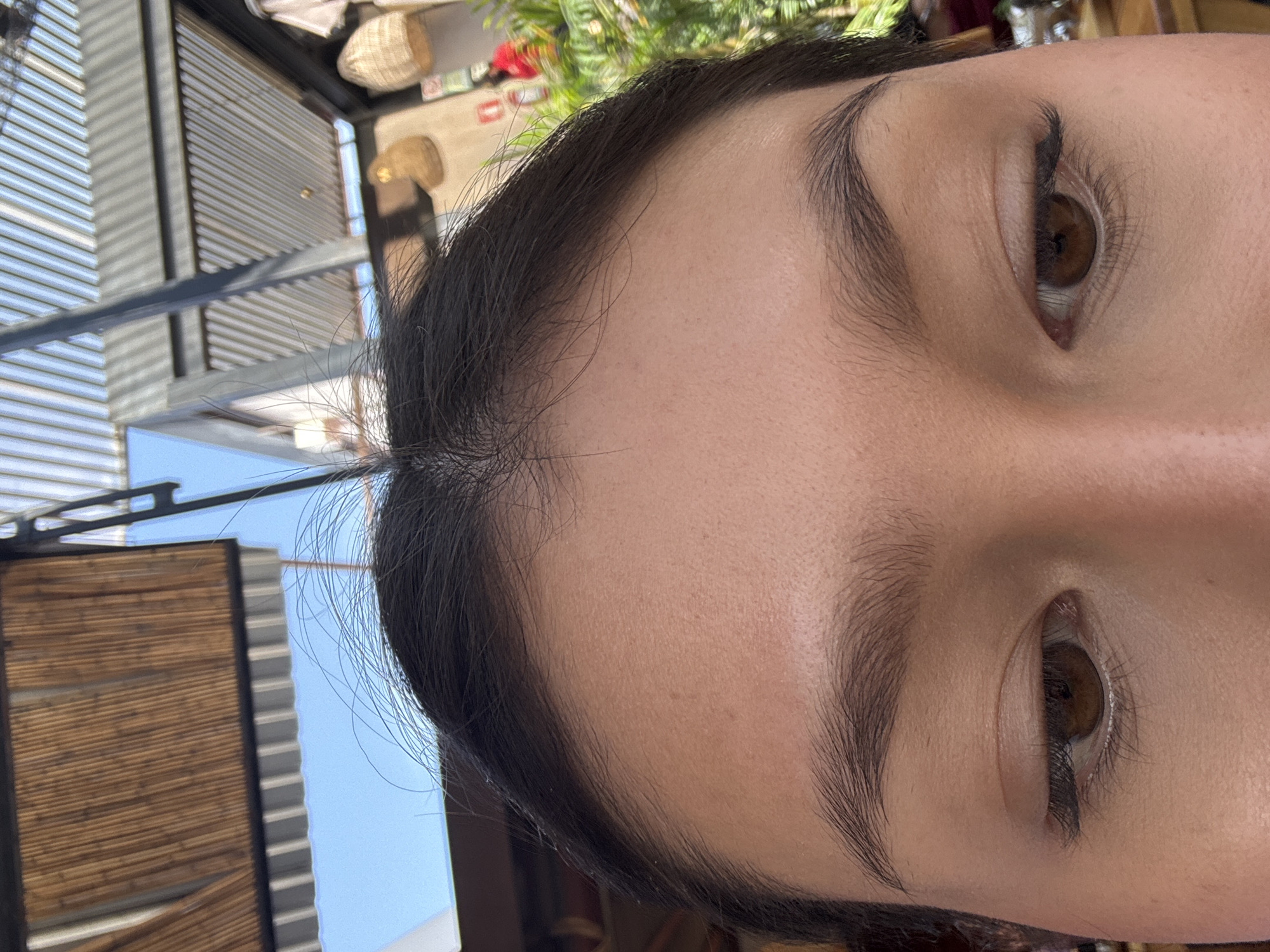 Dining experience documented at plant-filled restaurant in Oaxaca City