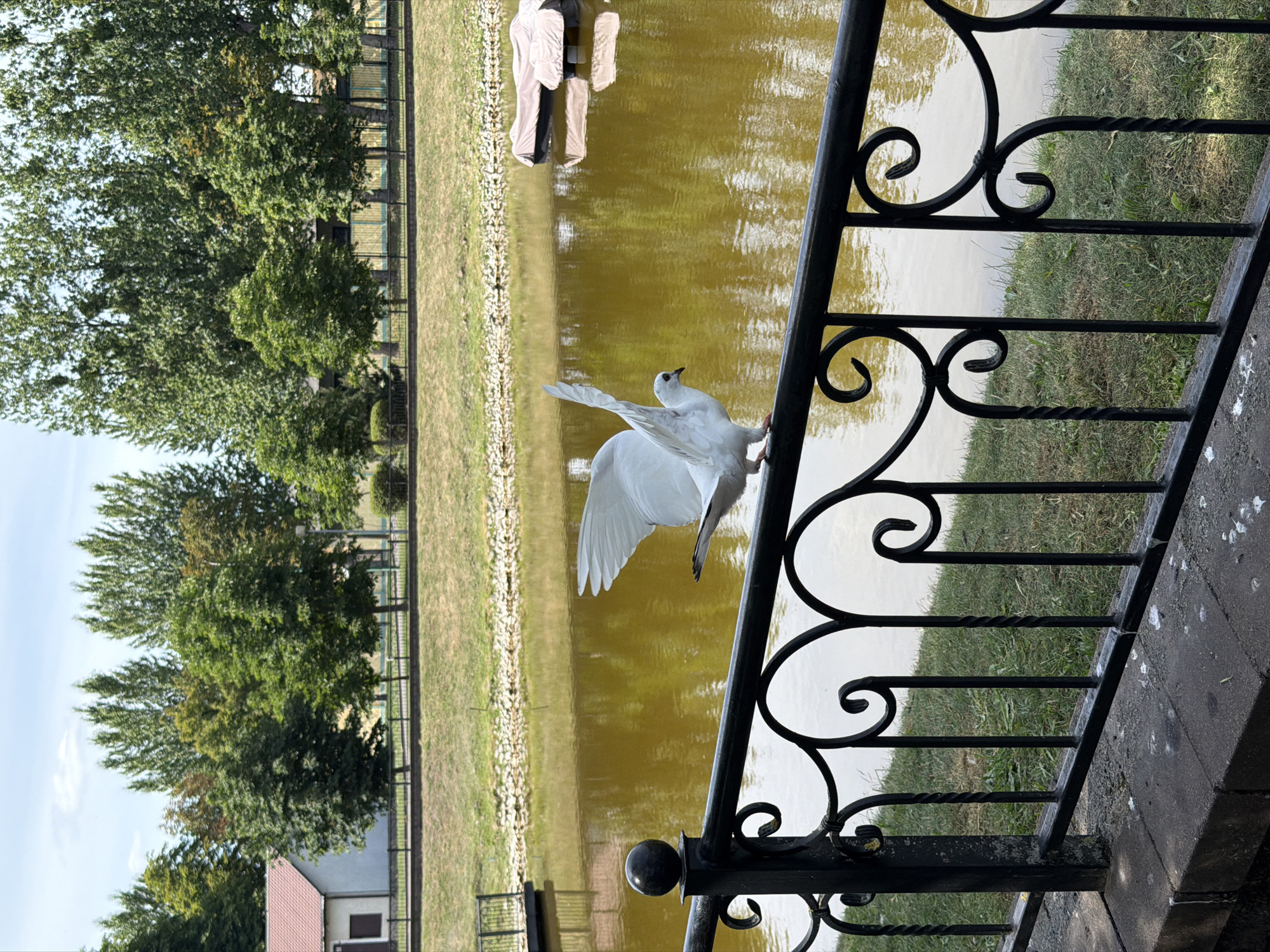 Afternoon wander through a garden café spot in Brest, Belarus