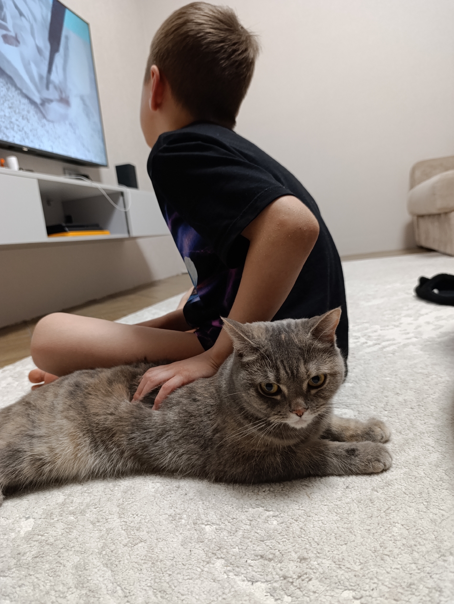 Child and cat share quiet afternoon at home