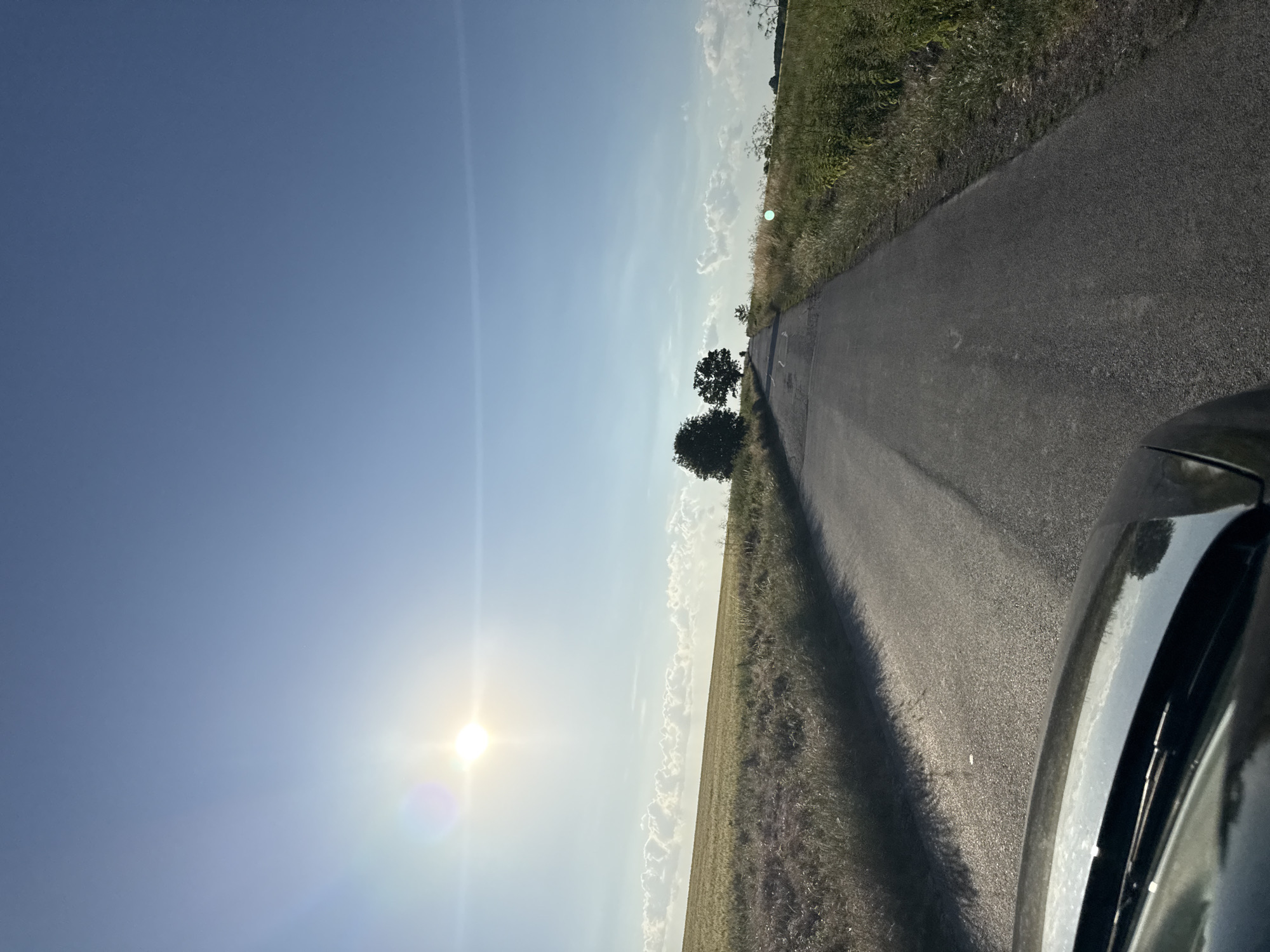 Road trip through golden grain fields near Zornitsa, Bulgaria