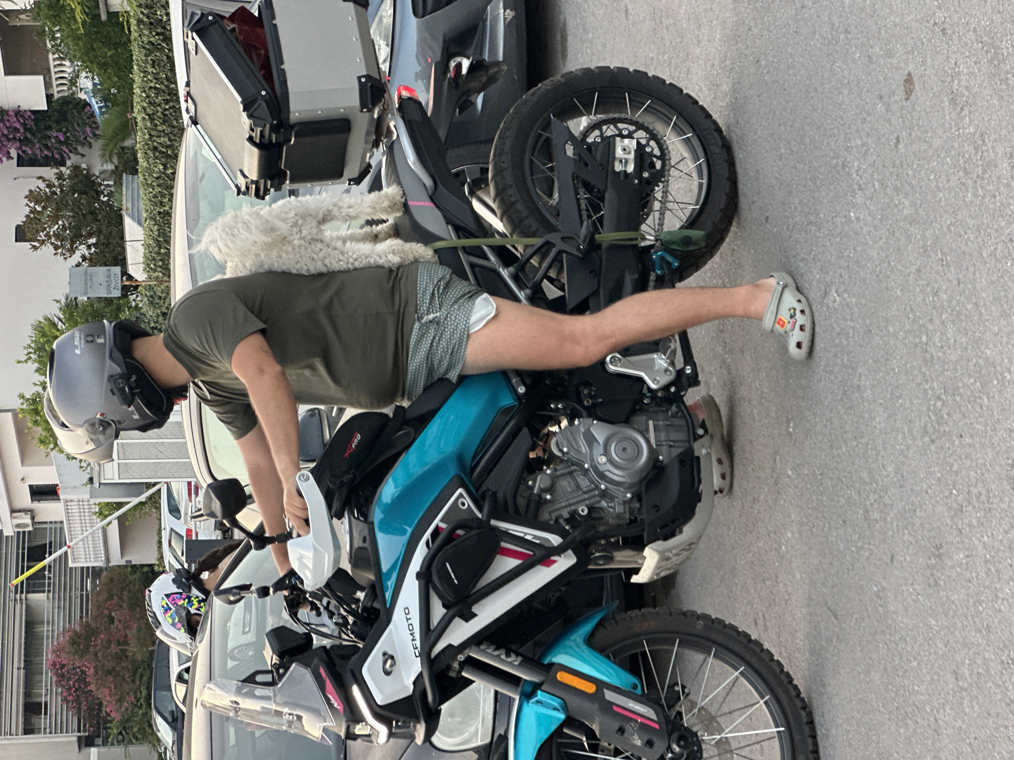 Dog rides shotgun on a motorcycle through Budva