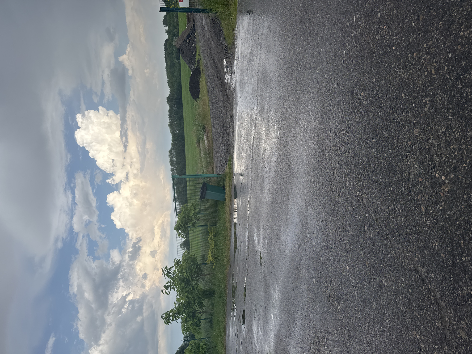 Rainy zoo visit documented through 29 memories over 23 minutes