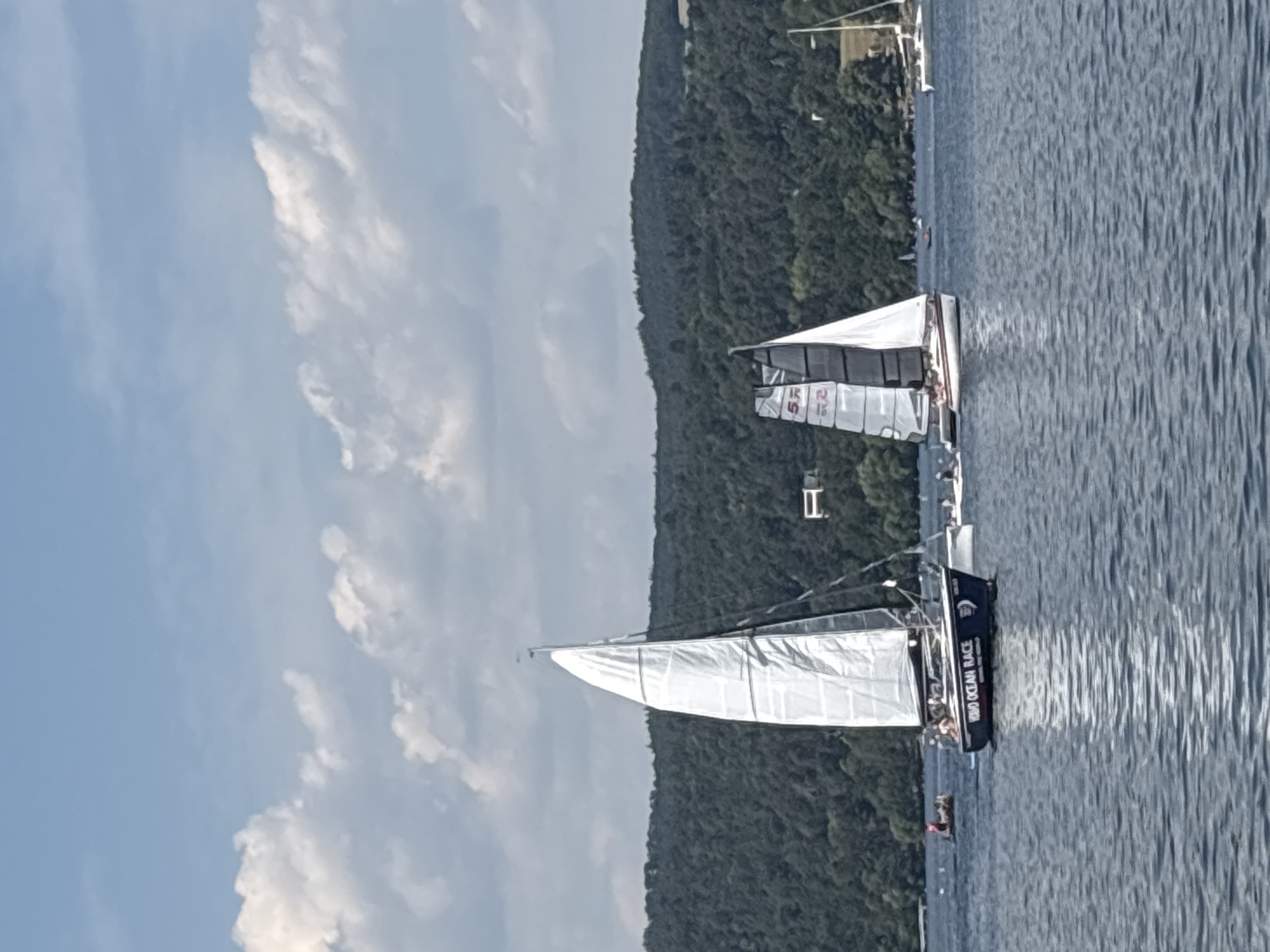 Crowded lake day: sailing, swimming, and waterfront hangouts