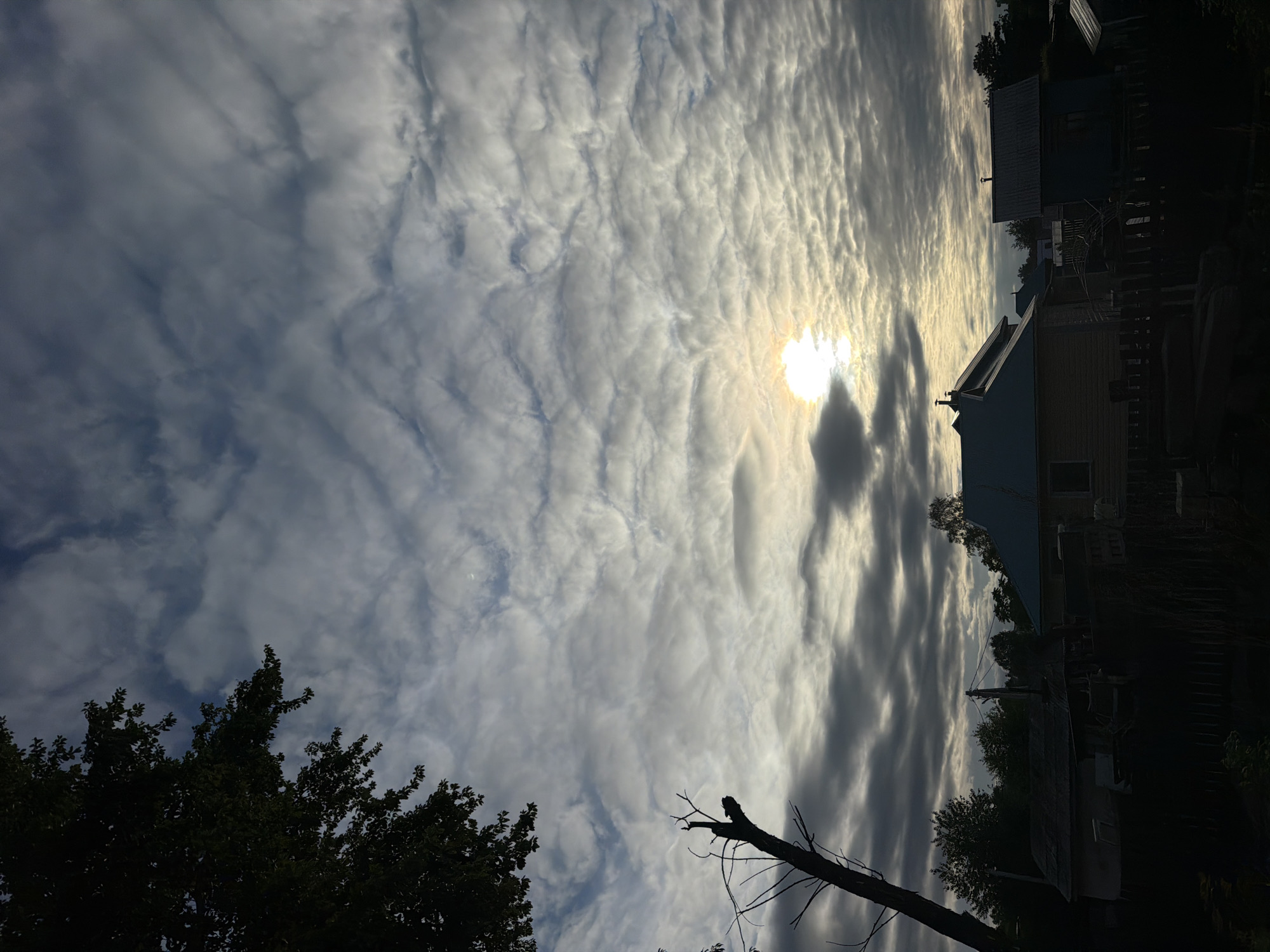 Morning photography session documents Birobidzhan streetscapes and infrastructure