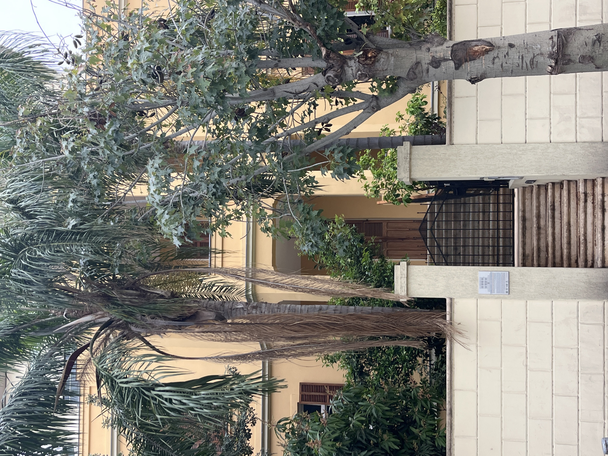 Tel Aviv street and beach scenes captured on cloudy day