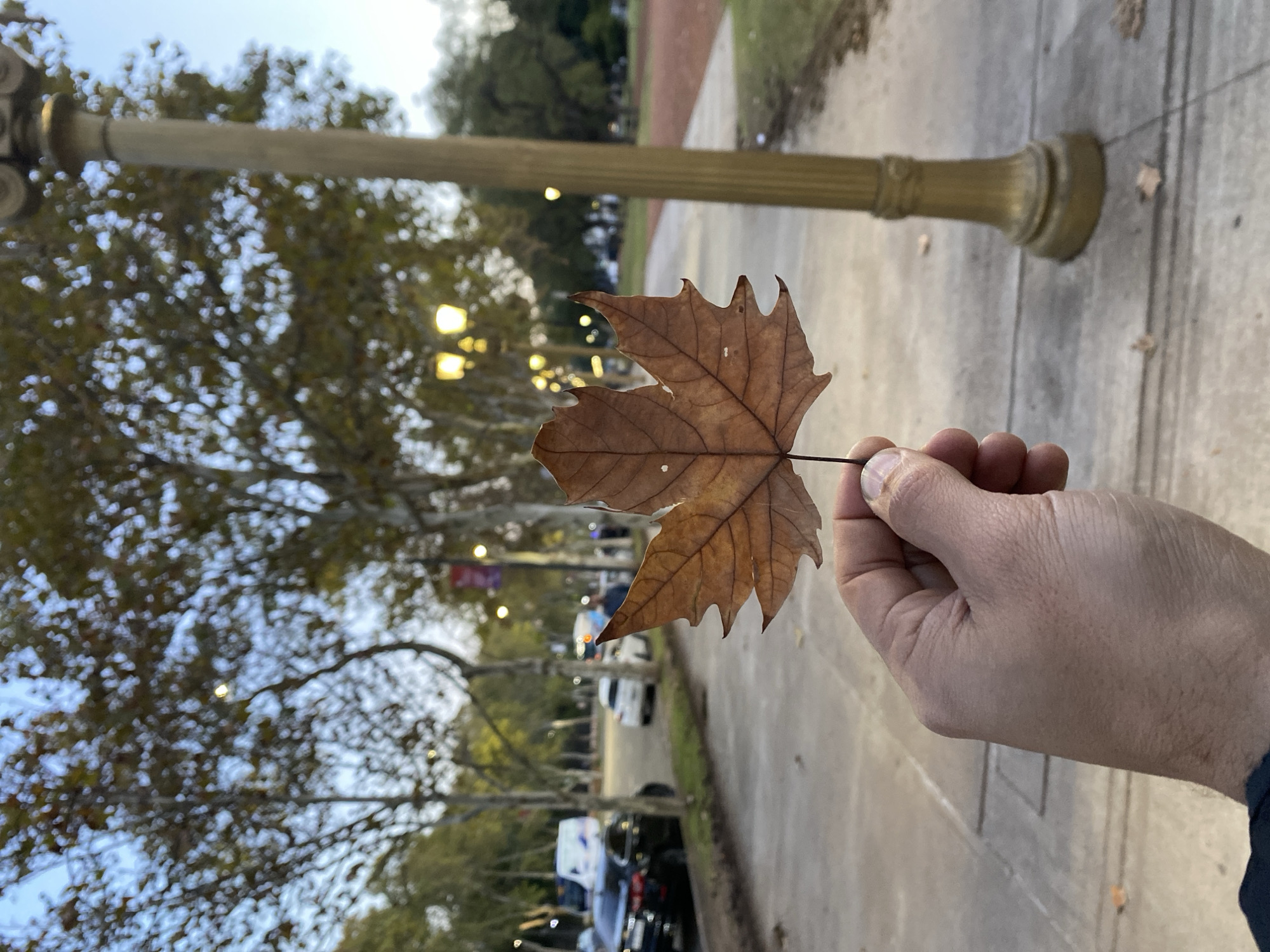 Evening stroll through Buenos Aires park captures monuments and autumn