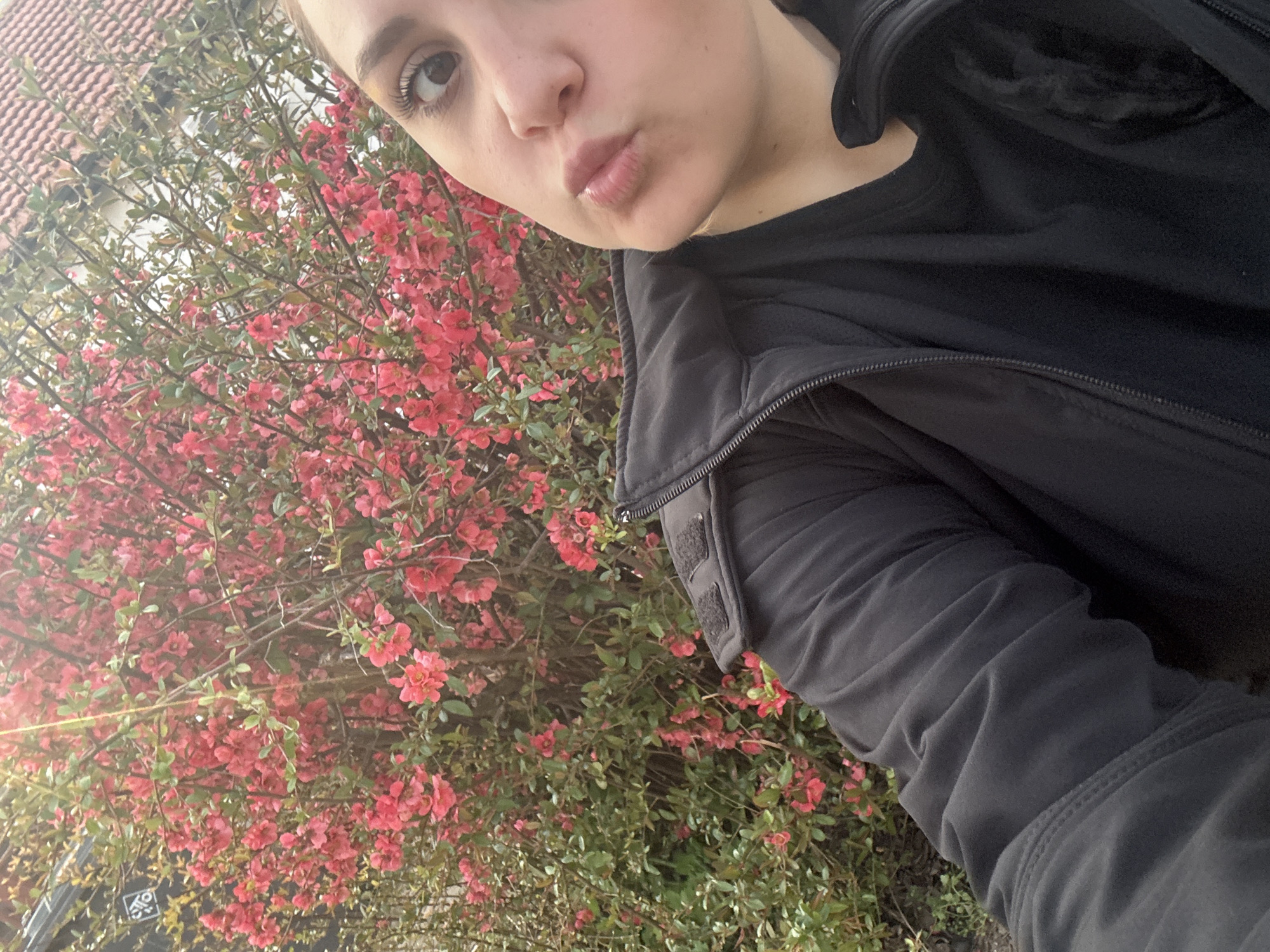 Woman Takes Selfie with Red Flowering Bush in Pleven