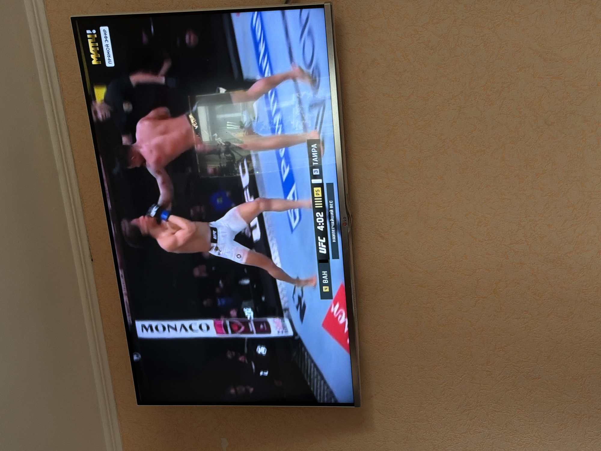 UFC fight broadcast on TV in Beryozovka, Russia