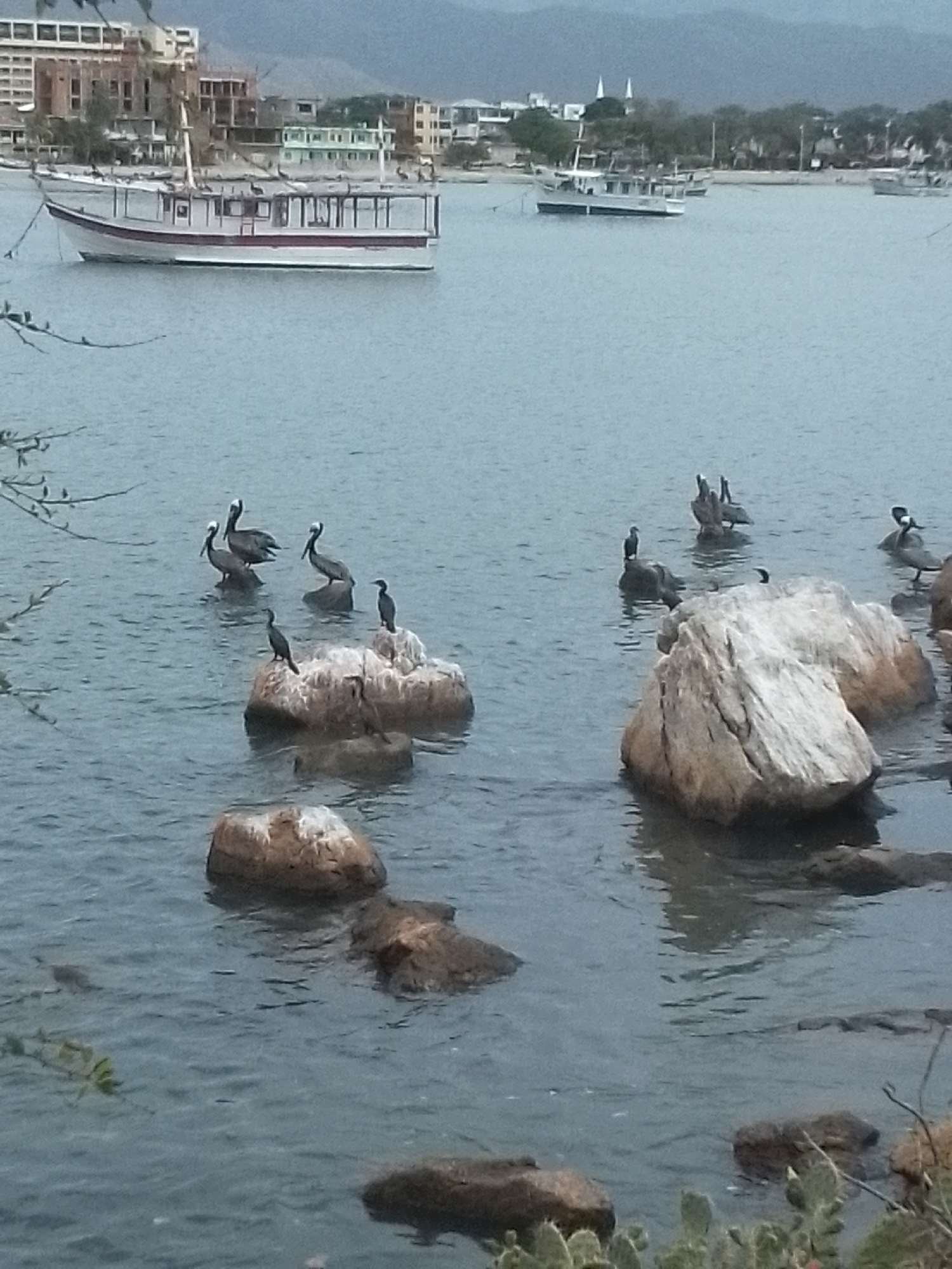 Ordinary coastal life documented in Juan Griego bay