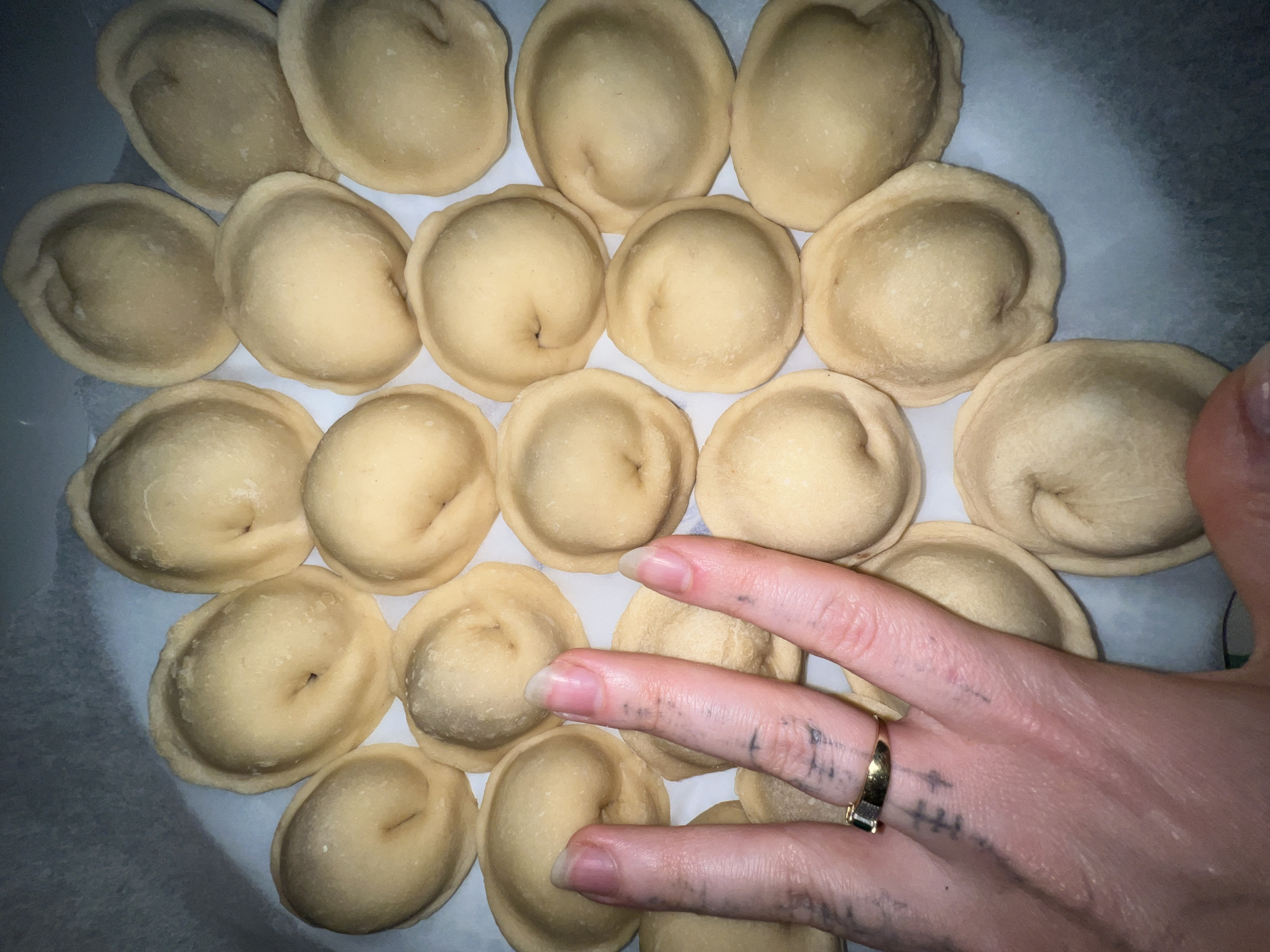 Person prepares homemade dumplings for storage in Belgrade suburb
