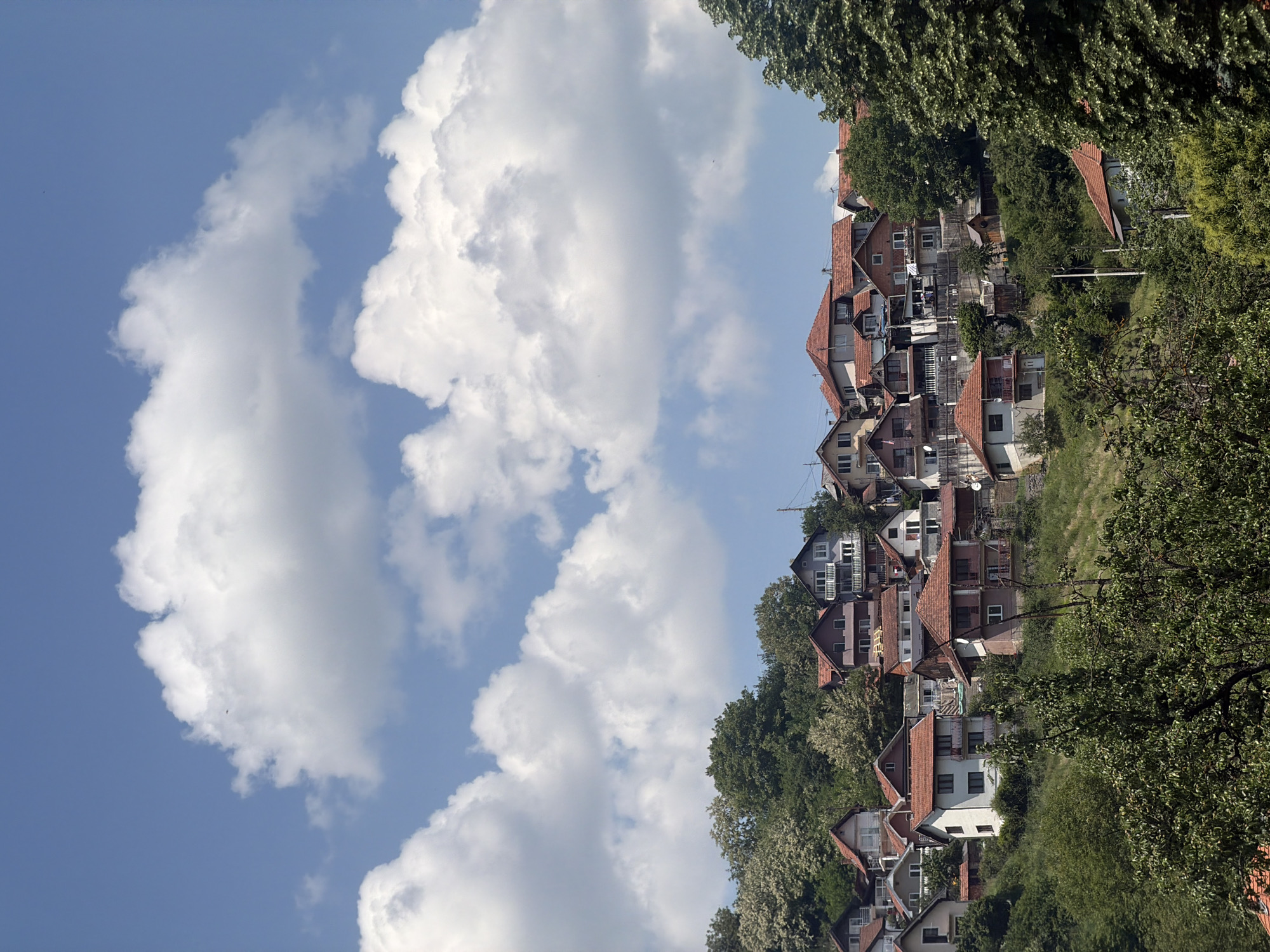 Everyday scenes documented in Serbian hillside town