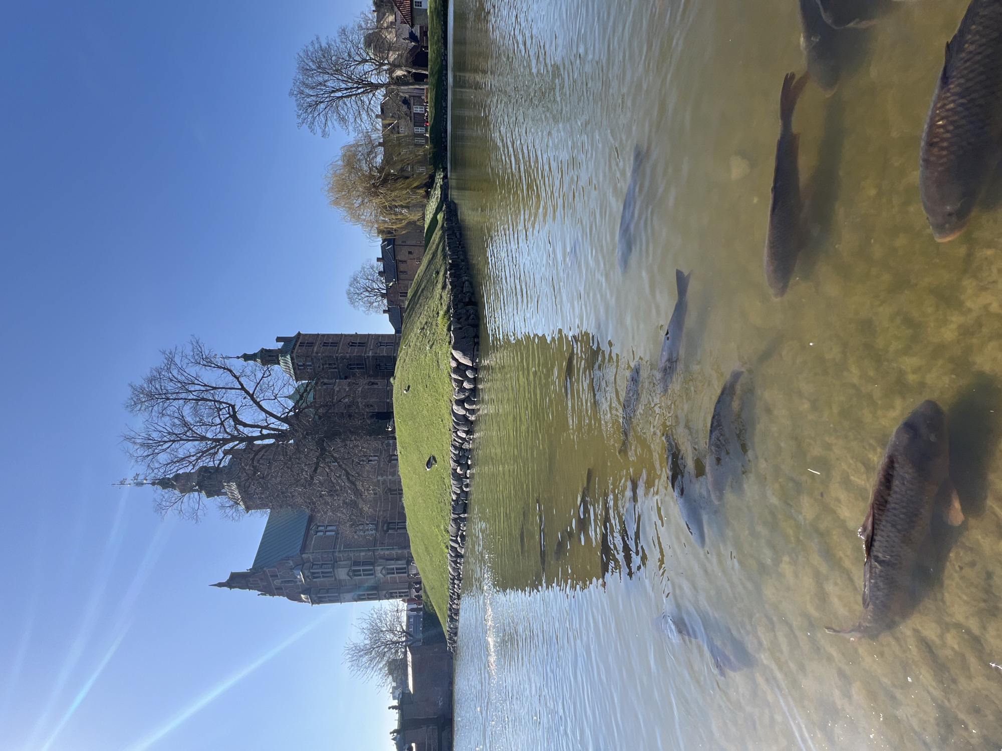 Tourist photographs Rosenborg Castle gardens in Copenhagen sunshine